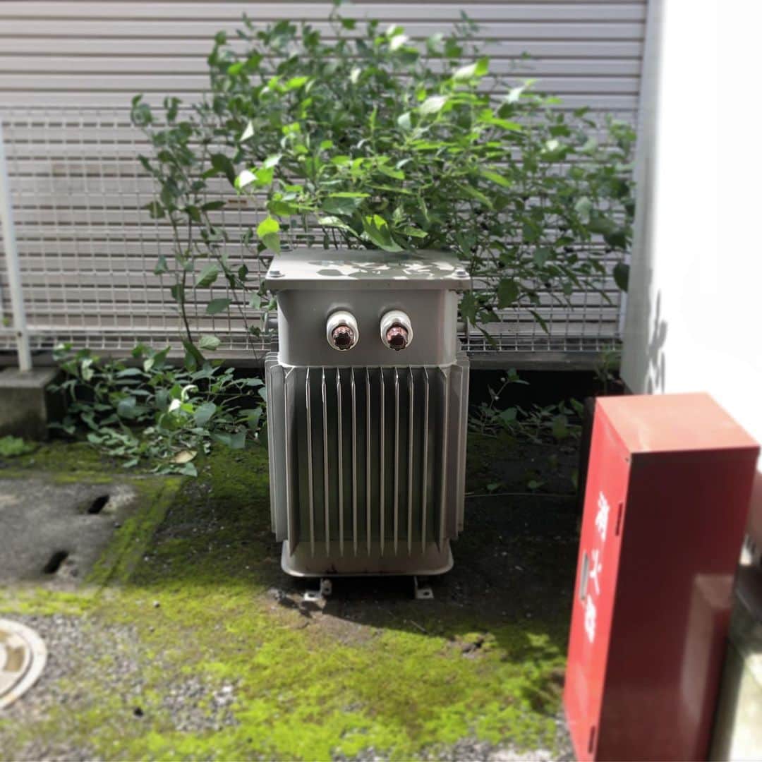 合田経郎のインスタグラム：「スタジオの裏にロボフクロウがいた。 #Robotowl #dwarfstudios」