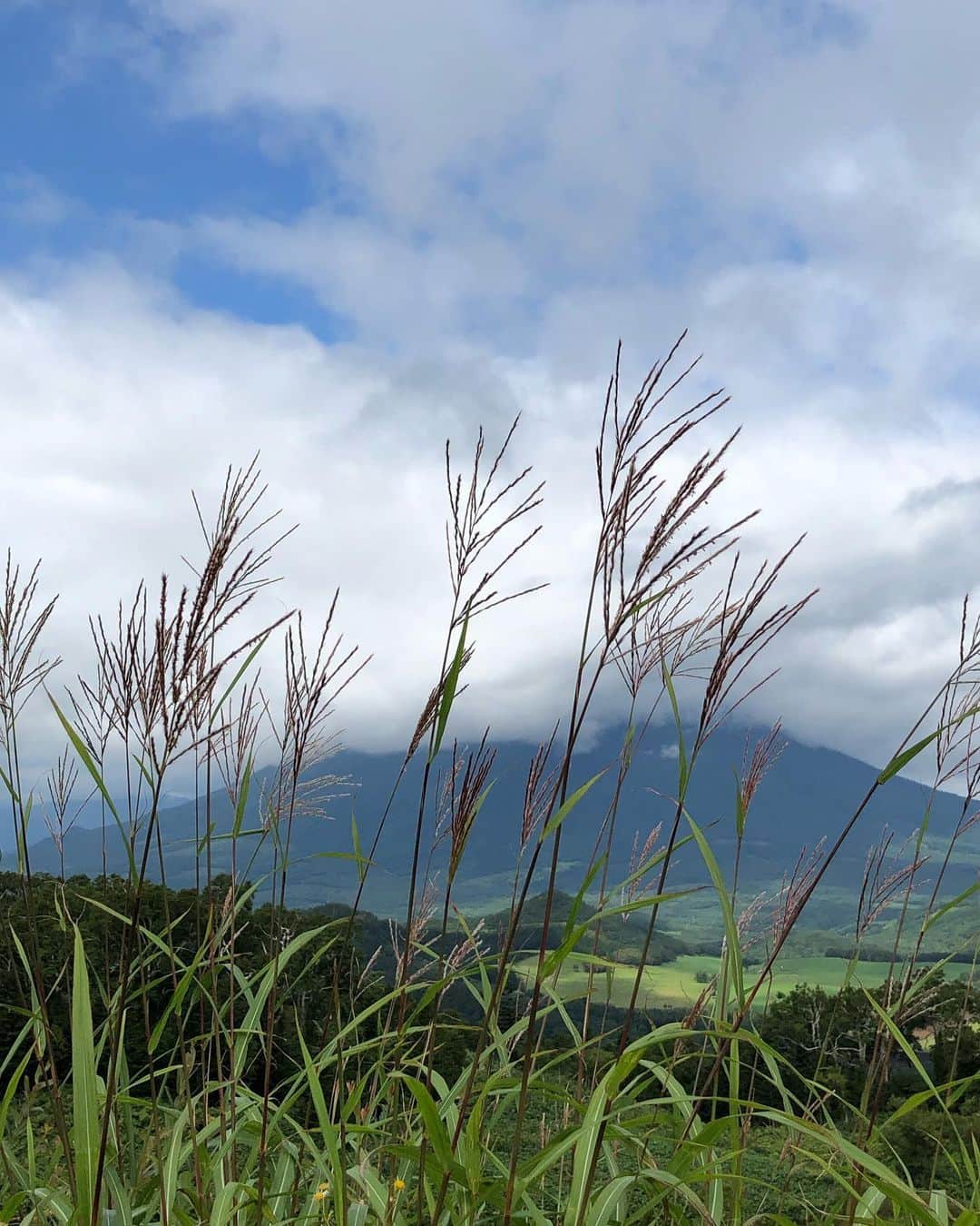 中岡由佳さんのインスタグラム写真 - (中岡由佳Instagram)「羊蹄ゴンドラで山頂へ。幸せの鐘を鳴らし羊蹄山を眺めました。山頂からの眺めは素晴らしい！ #myrusutsu #kids #北海道」8月26日 15時34分 - yuka_nakaoka