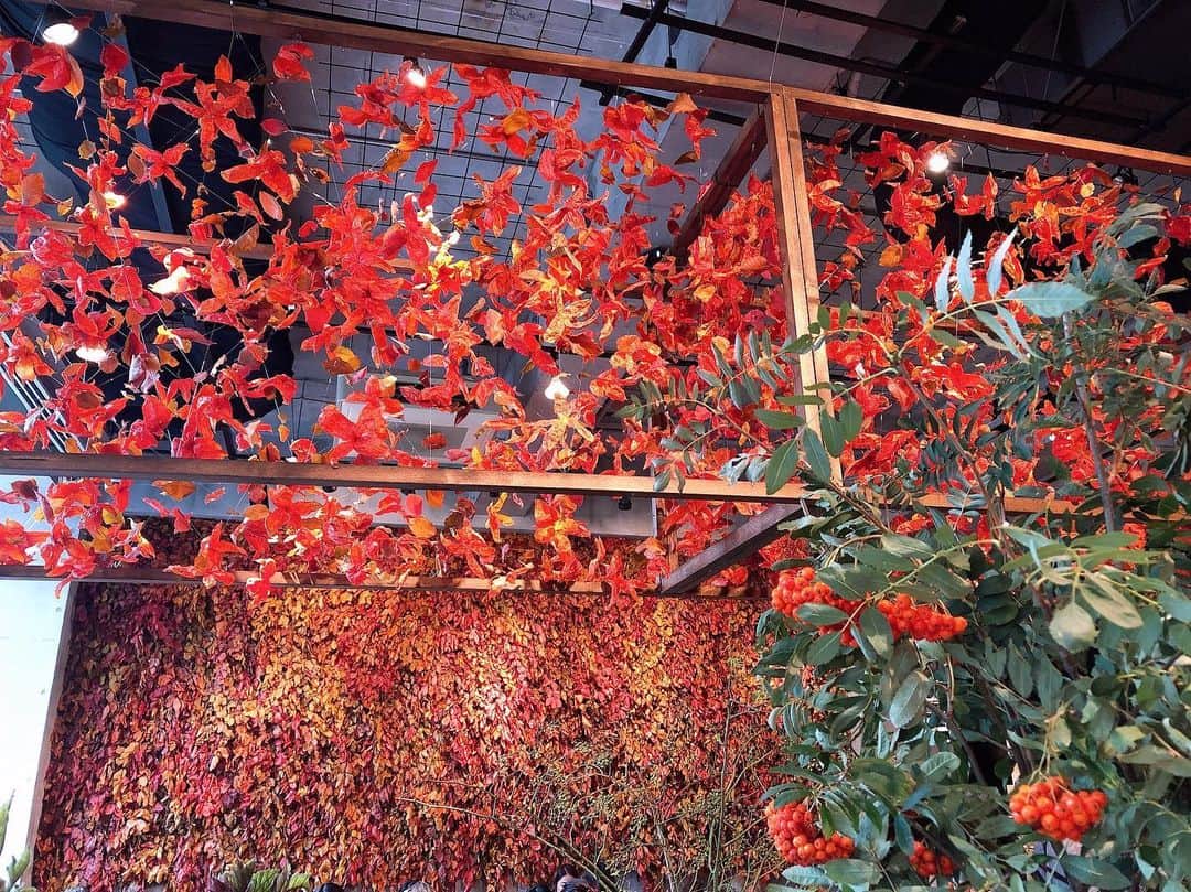 南城ひかりのグルメインスタ