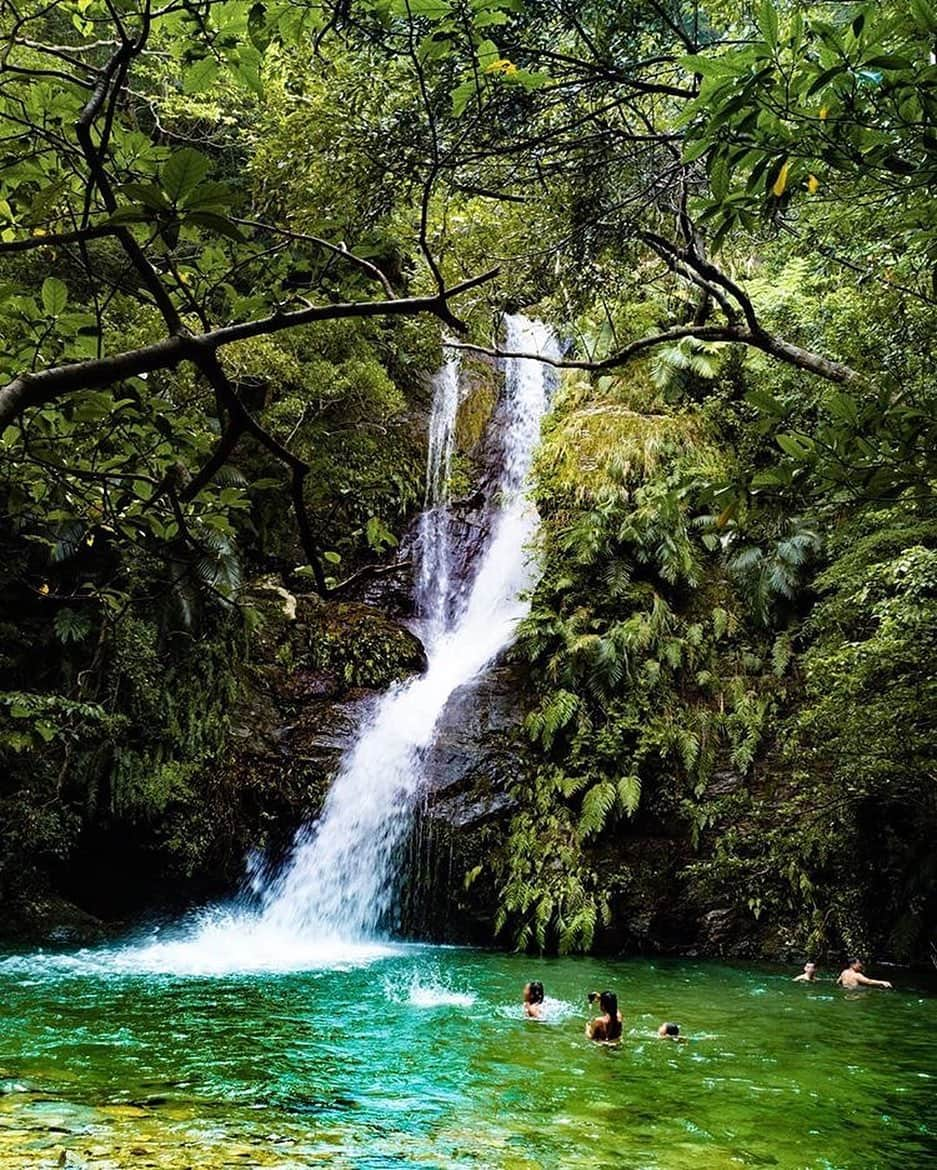 Be.okinawaさんのインスタグラム写真 - (Be.okinawaInstagram)「Nago City is a treasure chest of natural wonders. How about some river trekking by the beautiful Fukugawa Falls? 📷:@bunryu10ma  #fukugawafalls #nagocity #普久川瀑布 #名護市 #훈가폭포 #나고시 #フンガー滝 #植物  #plants #nature #beokinawa #visitokinawa」8月26日 16時15分 - visitokinawajapan