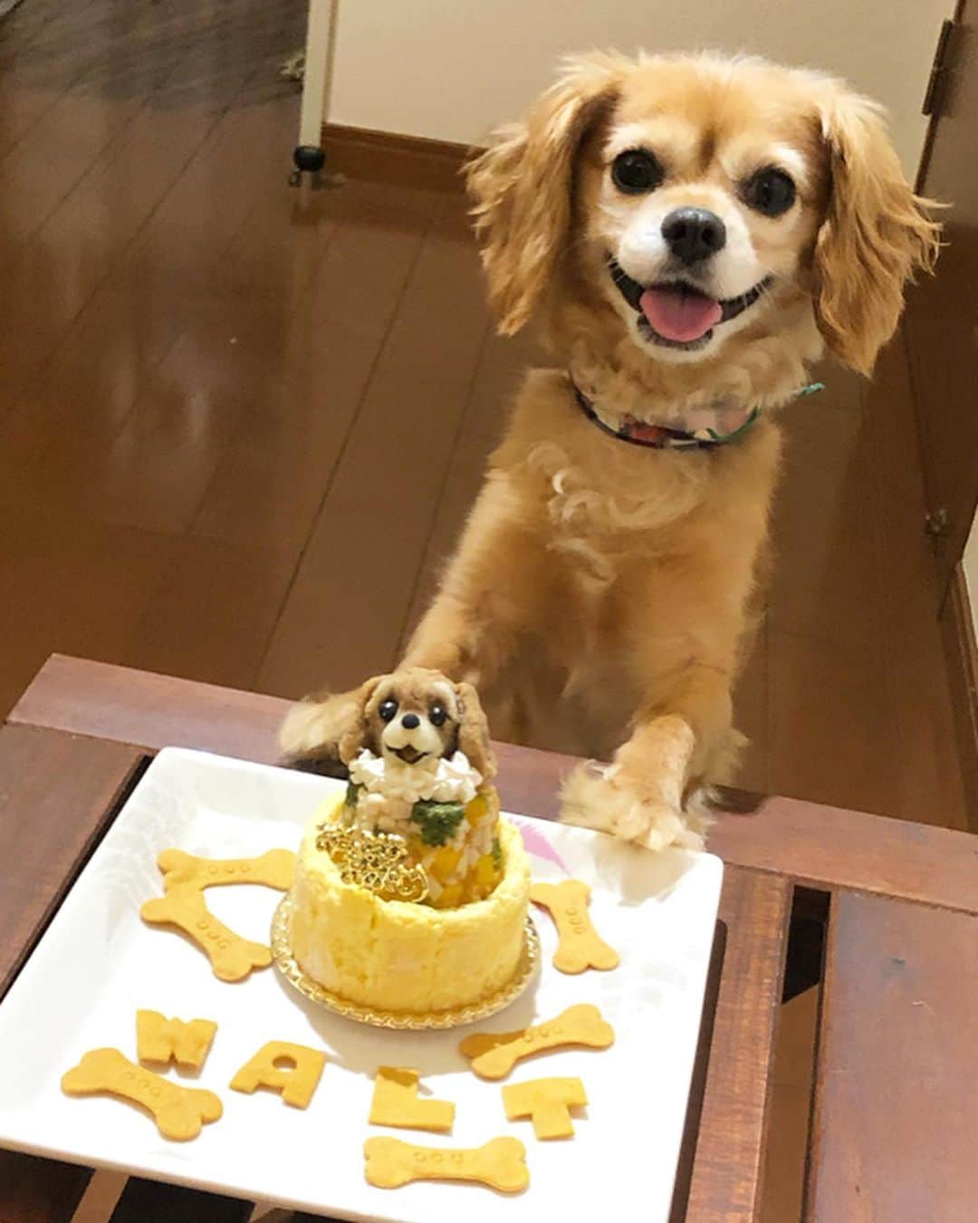 楪望のインスタグラム