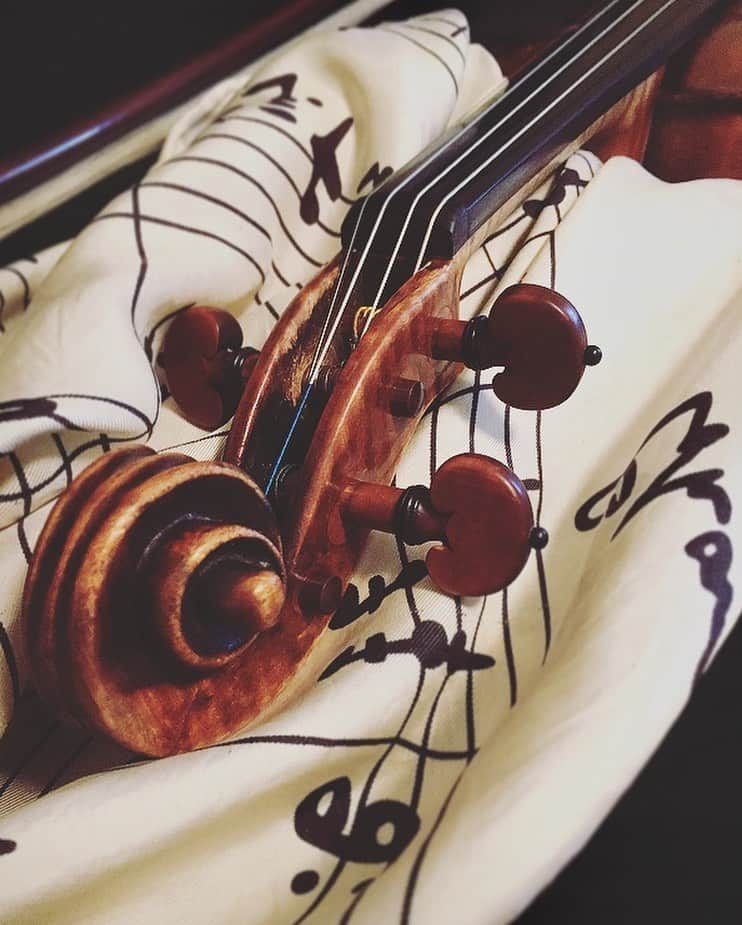 宮本笑里さんのインスタグラム写真 - (宮本笑里Instagram)「6時間、休まず練習に集中できた奇跡。嬉しい…😭 毎日の細切れ練習も勿論学べるけれど、 久しぶりにずーっと弾き続けられた、貴重な有り難み。感謝。 #violin」8月26日 16時39分 - emirimiyamoto