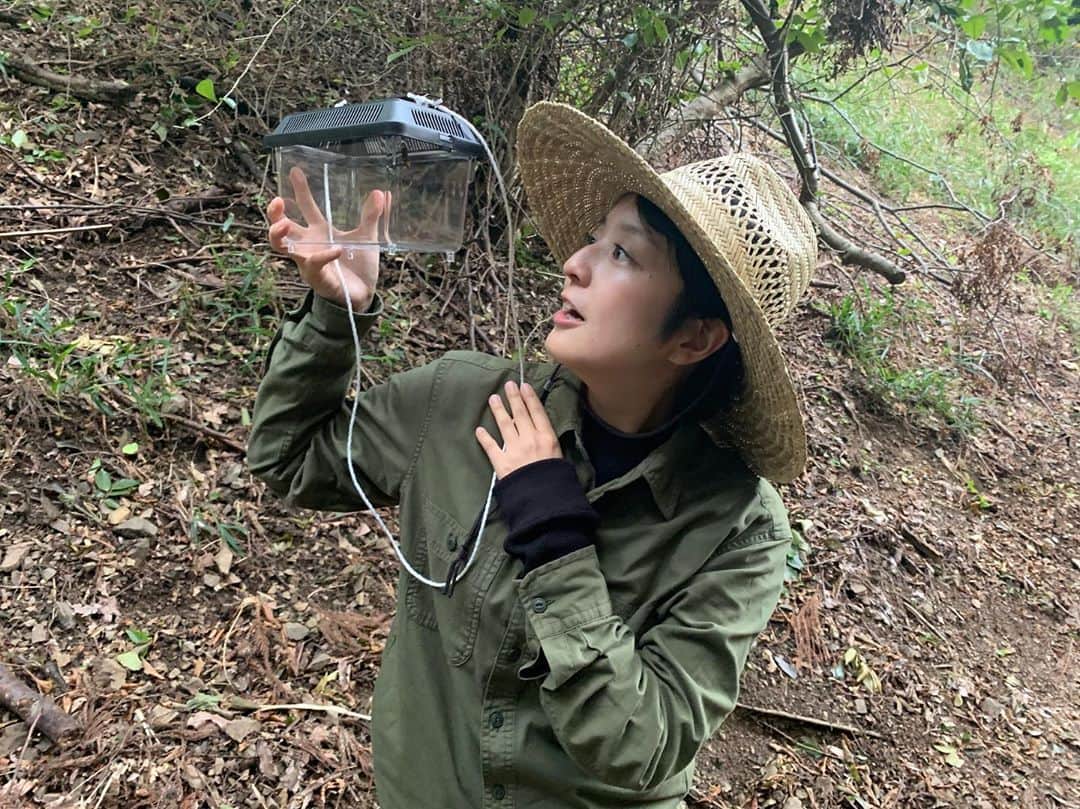 藤林温子のインスタグラム：「. 夏の思い出 . 虫捕りよりザリガニ釣り 虫捕りより植物採集だった小学生の頃... 網を扱うのは難しかったです😩 初めての体験🐥 暑かった☀️🐝 #ヤノトラカミキリ」