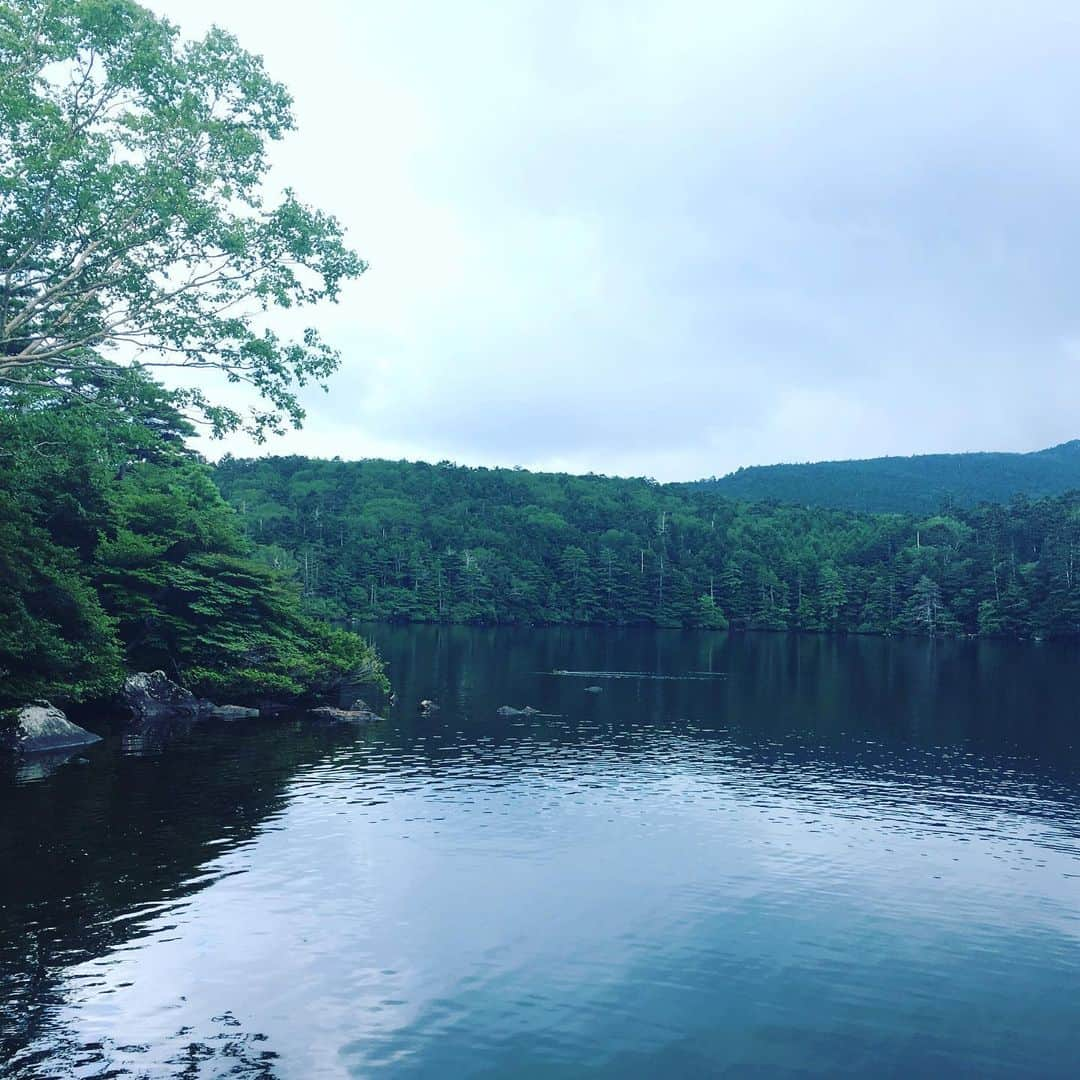 井上荒野さんのインスタグラム写真 - (井上荒野Instagram)「オーベルジュのコースランチとか地産野菜をたっぷり使ったカフェのワンプレートとかガレットの店とかを横目に車を走らせ、たどり着いた今日の昼ごはん。そうだよこういうのが食べたかったんだよ！ってことありませんか。しかもトレイの柄、夫のはブルーのチェックだった。#白駒池 #豚汁定食」8月26日 17時39分 - arereno