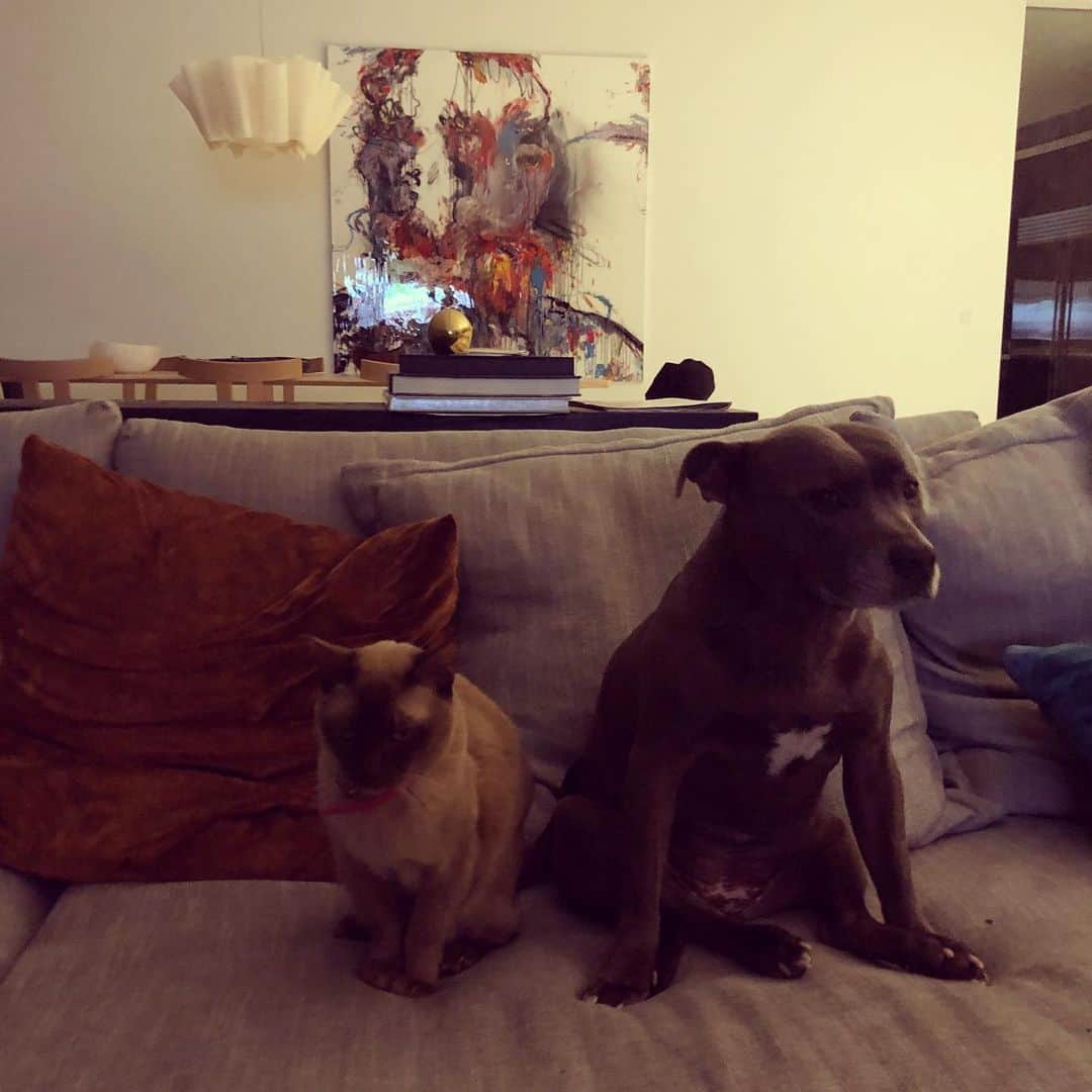 ジェニファー・ホーキンスのインスタグラム：「Apparently it’s movie night 😂」