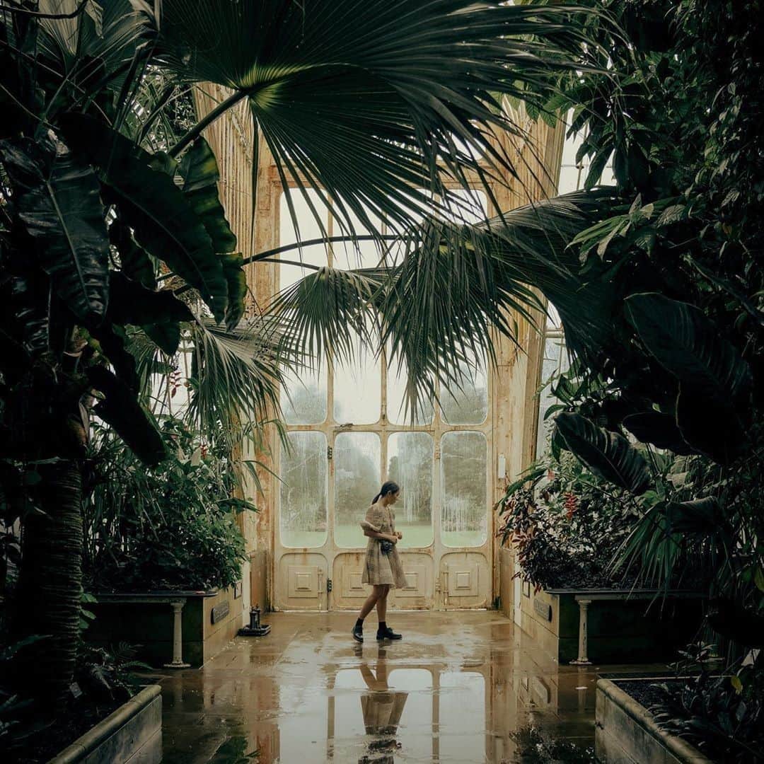 フローリスさんのインスタグラム写真 - (フローリスInstagram)「Bank holidays are meant for wandering amongst the lush foliage of Kew Garden’s Palm House. Image by: @alixelay #London #ThisIsLondon #BankHoliday #BankHolidayMonday #Green #Greenery」8月26日 18時00分 - florislondon