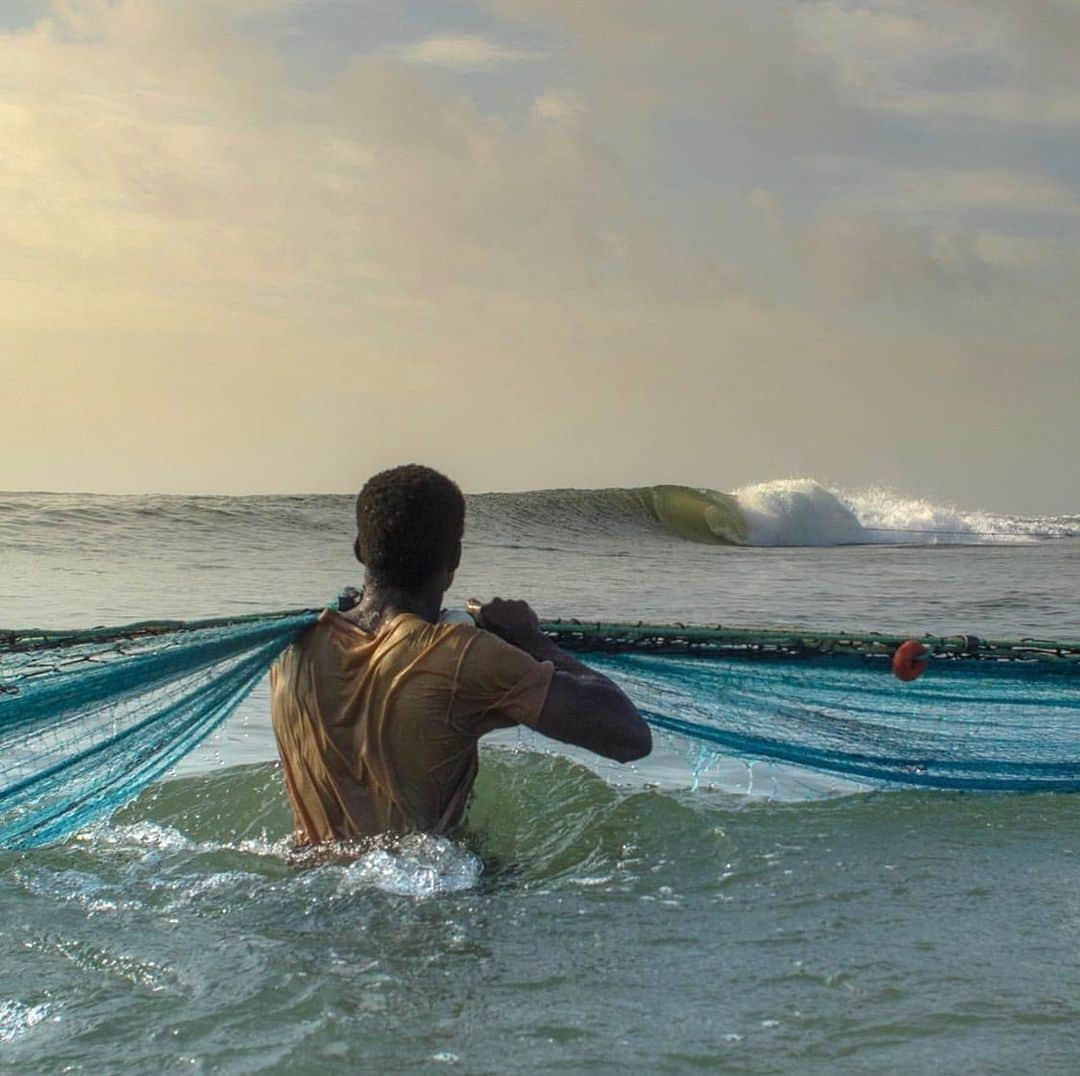 surflineさんのインスタグラム写真 - (surflineInstagram)「Catch of the day. 📷: @antfoxphoto」8月27日 4時09分 - surfline