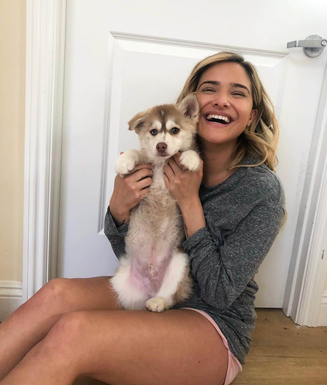 チャチー・ゴンザレスのインスタグラム：「Not trying to be biased and say I have the cutest dogs in the world but....c’mon...look at them! Happy #InternationalDogDay 🐶🐶 I love my little wolves so much. My furry babies. I can’t wait to have them here in Finland and smother them with love 😭」