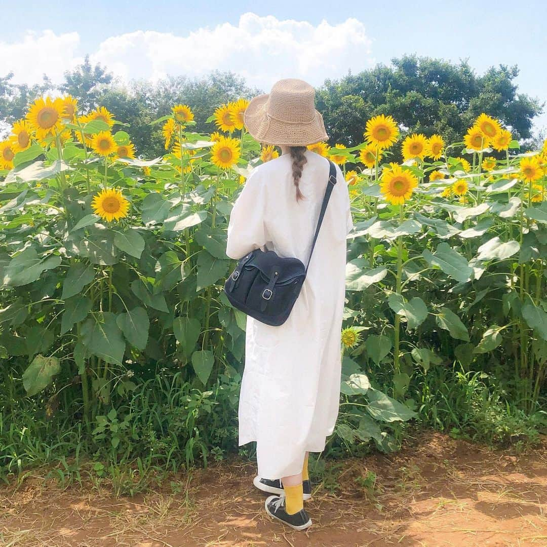 かほこ。さんのインスタグラム写真 - (かほこ。Instagram)「ㅤㅤㅤㅤㅤㅤㅤㅤㅤㅤㅤㅤㅤ ㅤㅤㅤㅤㅤㅤㅤㅤㅤㅤㅤㅤㅤ dress : #merlot #merlotikyu hat : #colony2139 bag : #journalstandard socks : #靴下屋 sneakers : #無印良品 ㅤㅤㅤㅤㅤㅤㅤㅤㅤㅤㅤㅤㅤ ひまわり畑行った時の🌻 暑すぎて、シャツワンピびっしゃびしゃになったからアップで撮れんかった、、ステッチがめちゃかわいいんだよこれ！ ㅤㅤㅤㅤㅤㅤㅤㅤㅤㅤㅤㅤㅤ 靴下黄色にして、ひまわり感🌻 ㅤㅤㅤㅤㅤㅤㅤㅤㅤㅤㅤㅤㅤ 知らないうちにヤギにワンピ食べられてて、めちゃめちゃ汚くなった（笑） ㅤㅤㅤㅤㅤㅤㅤㅤㅤㅤㅤㅤㅤ #kaho_fashion」8月26日 20時10分 - xxokohakxx