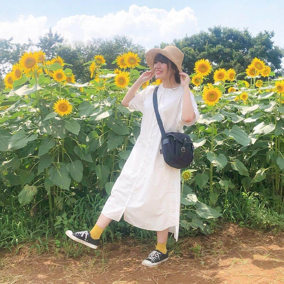 かほこ。さんのインスタグラム写真 - (かほこ。Instagram)「ㅤㅤㅤㅤㅤㅤㅤㅤㅤㅤㅤㅤㅤ ㅤㅤㅤㅤㅤㅤㅤㅤㅤㅤㅤㅤㅤ dress : #merlot #merlotikyu hat : #colony2139 bag : #journalstandard socks : #靴下屋 sneakers : #無印良品 ㅤㅤㅤㅤㅤㅤㅤㅤㅤㅤㅤㅤㅤ ひまわり畑行った時の🌻 暑すぎて、シャツワンピびっしゃびしゃになったからアップで撮れんかった、、ステッチがめちゃかわいいんだよこれ！ ㅤㅤㅤㅤㅤㅤㅤㅤㅤㅤㅤㅤㅤ 靴下黄色にして、ひまわり感🌻 ㅤㅤㅤㅤㅤㅤㅤㅤㅤㅤㅤㅤㅤ 知らないうちにヤギにワンピ食べられてて、めちゃめちゃ汚くなった（笑） ㅤㅤㅤㅤㅤㅤㅤㅤㅤㅤㅤㅤㅤ #kaho_fashion」8月26日 20時10分 - xxokohakxx