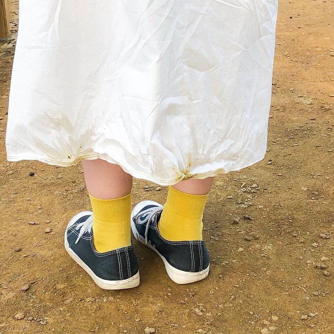 かほこ。さんのインスタグラム写真 - (かほこ。Instagram)「ㅤㅤㅤㅤㅤㅤㅤㅤㅤㅤㅤㅤㅤ ㅤㅤㅤㅤㅤㅤㅤㅤㅤㅤㅤㅤㅤ dress : #merlot #merlotikyu hat : #colony2139 bag : #journalstandard socks : #靴下屋 sneakers : #無印良品 ㅤㅤㅤㅤㅤㅤㅤㅤㅤㅤㅤㅤㅤ ひまわり畑行った時の🌻 暑すぎて、シャツワンピびっしゃびしゃになったからアップで撮れんかった、、ステッチがめちゃかわいいんだよこれ！ ㅤㅤㅤㅤㅤㅤㅤㅤㅤㅤㅤㅤㅤ 靴下黄色にして、ひまわり感🌻 ㅤㅤㅤㅤㅤㅤㅤㅤㅤㅤㅤㅤㅤ 知らないうちにヤギにワンピ食べられてて、めちゃめちゃ汚くなった（笑） ㅤㅤㅤㅤㅤㅤㅤㅤㅤㅤㅤㅤㅤ #kaho_fashion」8月26日 20時10分 - xxokohakxx