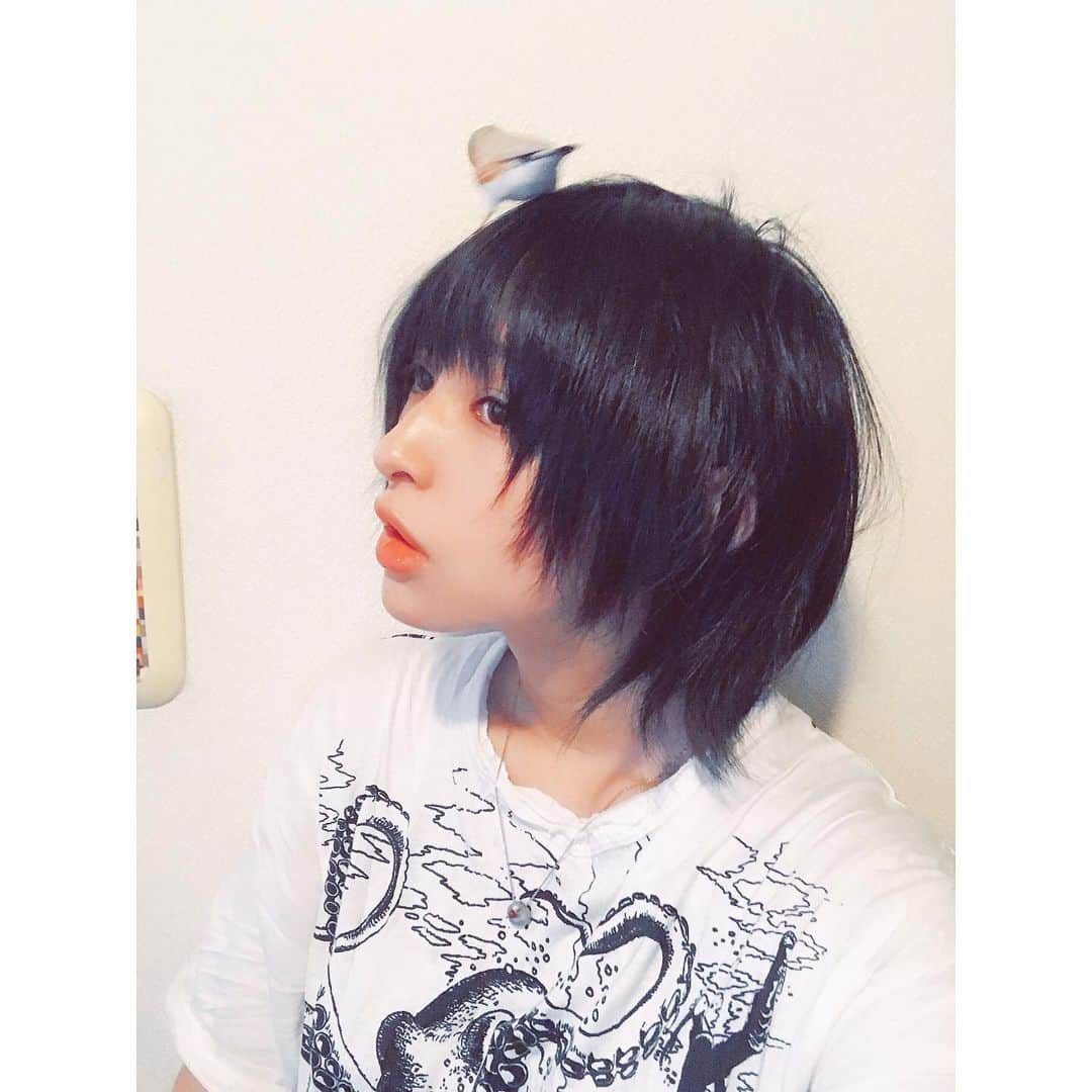 日南響子（珠麟）さんのインスタグラム写真 - (日南響子（珠麟）Instagram)「次の作品もあるので髪を切らずに居たけど、 やっとここまで伸びた(  ˊᵕˋ )  スタイリングはぺぺ君だよ^ ^笑  #シナモン文鳥  #錦華鳥」8月26日 20時10分 - kyooko_hinami_official