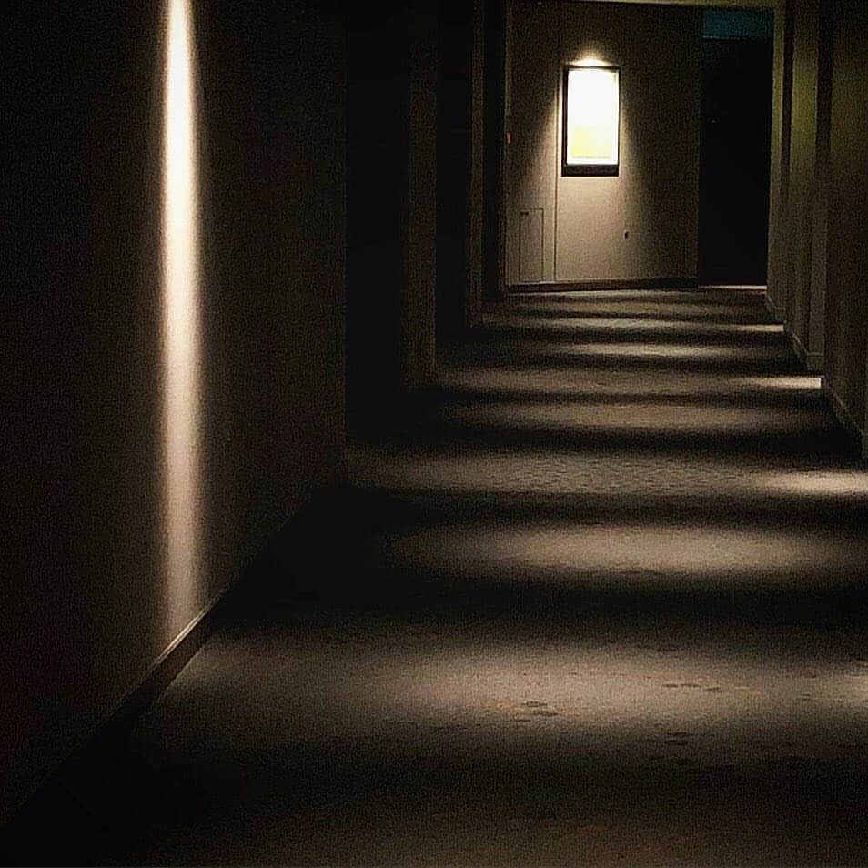 のインスタグラム：「The excitement to see your room heightens as you walk through the hotel hallway... お部屋へと通じるホテルの廊下を歩きながら。何か新しい発見があるかもしれないですね。  #hallways #hallway #guestrooms #guestroom #corridor #hotelstay #Marunouchi #PalaceHotelTokyo #LHWlovesart #hotelswithart #廊下 #ホテルステイ #アート作品 #アートコレクション #丸の内 #パレスホテル東京」