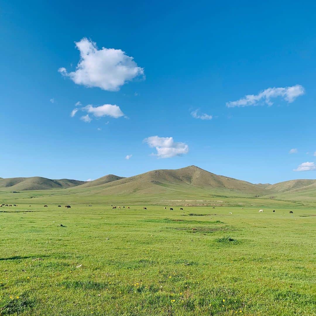 小島瑠璃子さんのインスタグラム写真 - (小島瑠璃子Instagram)「🇲🇳 モンゴルの草原！ みどりー！ 空ひろーーーい！！ 3枚目はのどごし生CM風です。」8月26日 20時48分 - ruriko_kojima
