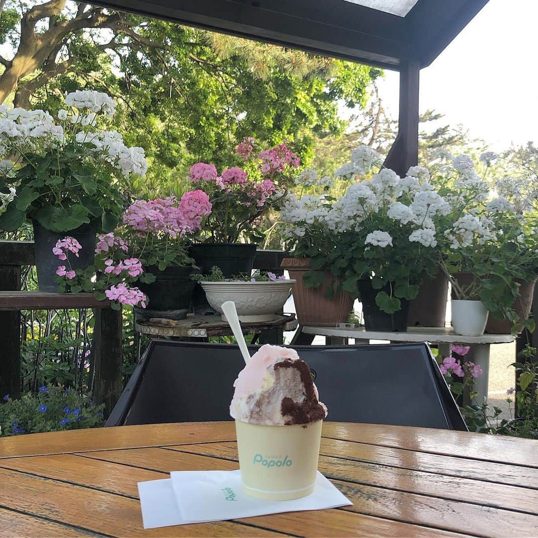 本間日陽のグルメインスタ