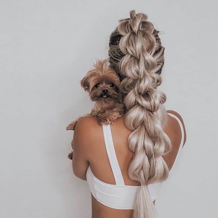 のインスタグラム：「Not sure what I want more- the braid or the puppy 🐶 🤷🏻‍♀️」