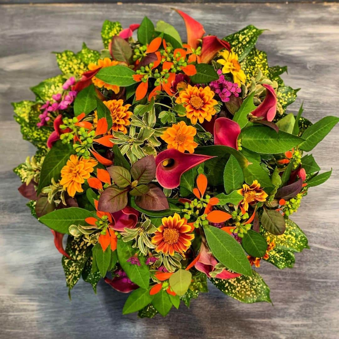 ニコライ・バーグマン・フラワーズ＆デザインさんのインスタグラム写真 - (ニコライ・バーグマン・フラワーズ＆デザインInstagram)「Bouquet, #poinsettia #callalily #zinnia #waxflower #nicolaibergmann #bouquet #ニコライバーグマン #ブーケ」8月26日 21時34分 - nicolaibergmann