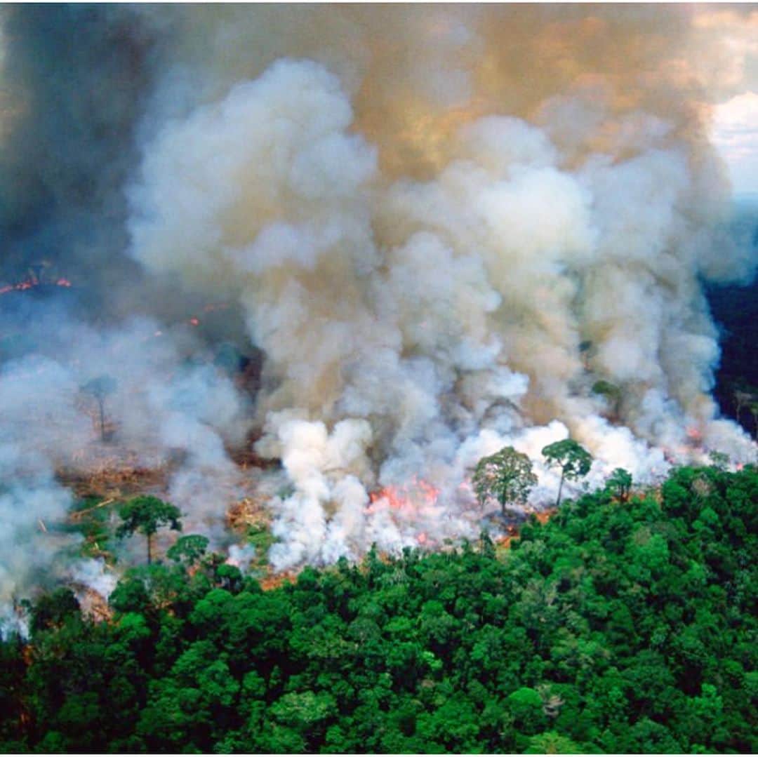 のインスタグラム：「Behind the earth 🌍 mother nature is getting destroyed. Please don’t destroy rainforest anymore 😢 地球の裏側で自然が燃えて壊されてます。 自然を守っていってほしいです😢 #savetheamazon #mothernature #helpthenature #helptheearth #savetherainforest #savetheforests」