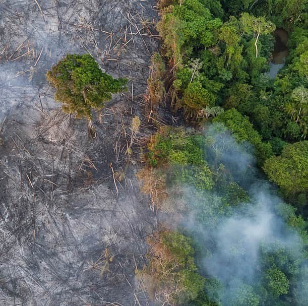 クリス・ヘムズワースさんのインスタグラム写真 - (クリス・ヘムズワースInstagram)「Starting today, @EarthAlliance has formed an emergency Amazon Forest Fund with a commitment of $5 million dollars to focus critical resources for indigenous communities and other local partners working to protect the life-sustaining biodiversity of the Amazon against the surge of fires currently burning across the region. 100 percent of your donation will go to partners who are working on the ground to protect the Amazon. @leonardodicaprio. To learn more and to donate, visit ealliance.org/amazonfund (Link in bio) 📸: @chamiltonjames」8月26日 23時24分 - chrishemsworth