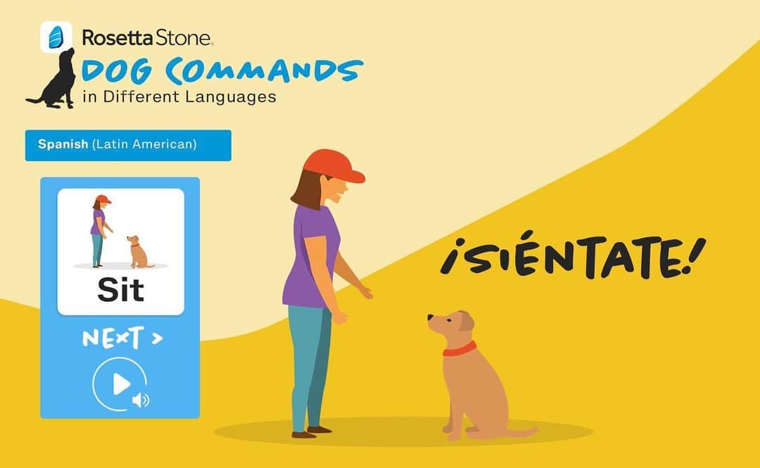 Rosetta Stoneさんのインスタグラム写真 - (Rosetta StoneInstagram)「Happy #InternationalDogDay! We've gathered the top dog commands in 20+ languages so you can transform your pup into a four-legged puppyglot. Grab a treat, get practicing, and show us the highs, lows, and adorable fails with #Puppyglot! 🐶 [LINK IN BIO] . . . #dog #dogcommands #dogtraining #puppy #puppies #dogs #languages #NationalDogDay #InternationalDogDay2019 #smartdog #learnlanguages」8月26日 23時37分 - rosettastone