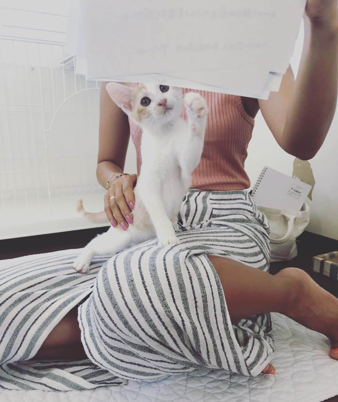 のインスタグラム：「. . 昨日は具志頭にある 動物愛護団体のアベニールさんへ . @avenir_okinawa . へ ____へ (=^ェ^=) 猫♡ . キティーハウスでは赤ちゃん猫達がスヤスヤ 寝てました❤️ . アベニールさんでは主に、地域の野良猫の避妊治療(さくら猫)、発信、一時保護、里親お見合い、などなど色々、動物達のために活動していました。 . アベニールの代表理事をされているミキさんは友達の友達で、私の周りの友達もアベニールから里親になった人が多いよ💗 . あたしもウサギがいなければイチコロ(泣 . まずは、少しでも多くのみんなに小さな命の現実を知ってもらえるよう私も発信していきたいと思います😌 . . #AVENIR#アベニール沖縄#動物愛護#さくらねこ #動物を守ろう#子猫#ねこちゃん#里親募集#キティーハウス」