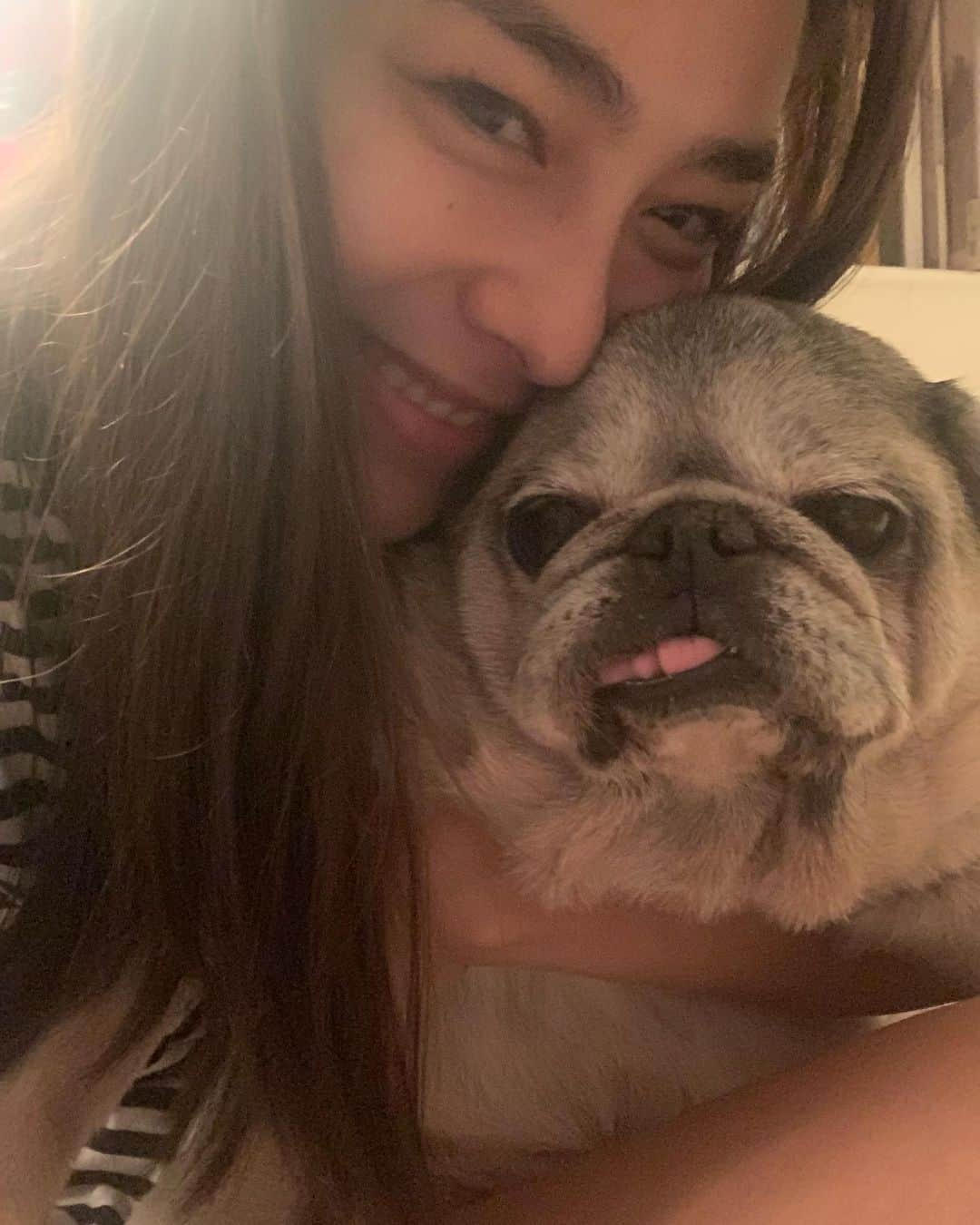 ジョジィのインスタグラム：「Too much love to this one 🥰 #13yearsoldpug」