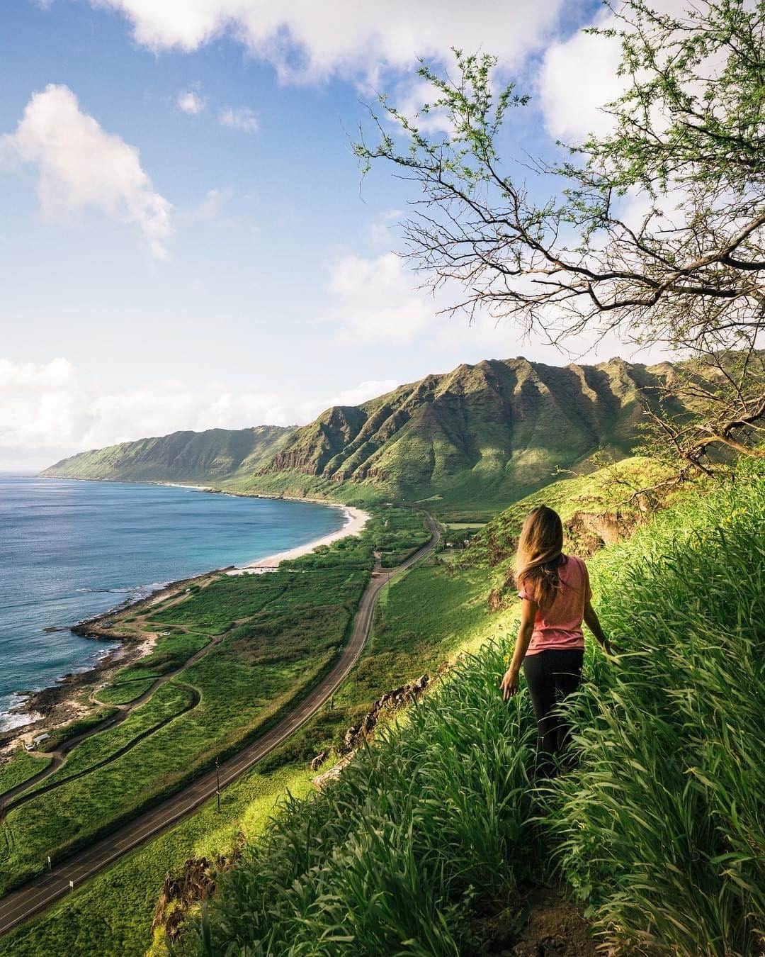 Visit The USAさんのインスタグラム写真 - (Visit The USAInstagram)「The hiking trails in Hawaii look straight out of a fairytale ⛰️ Tag a friend who you’d go hiking in Hawaii with! 📷: @vincelimphoto #VisitTheUSA」8月27日 0時00分 - visittheusa