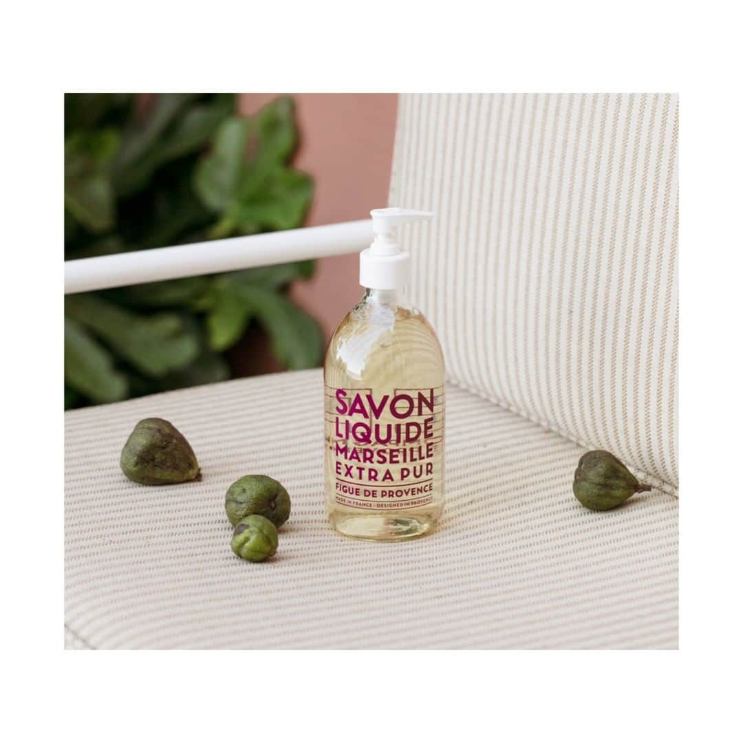 カンパニードプロバンスさんのインスタグラム写真 - (カンパニードプロバンスInstagram)「🌱 Un air de Provence avec notre savon liquide de Marseille à la Figue. Ses délicieuses notes gourmandes vous replongeront au cœur des chaudes soirées d'été.⁠ •⁠ 🇬🇧 A reminder of Provence with our Fig liquid Marseille soap. Its delicious sweet notes will bring you back to those warm summer nights.⁠ ⁠ #compagniedeprovence #provence #fig #figue #savondemarseille #liquidsoap #marseille #skincare #naturalproduct #naturalskincare #voyage #huilevegetale #summer #vegetaloils #cosmétique #nature #senteur #cosmetic #lifestyle #ambiance #savon #soap」8月27日 0時00分 - compagniedeprovence