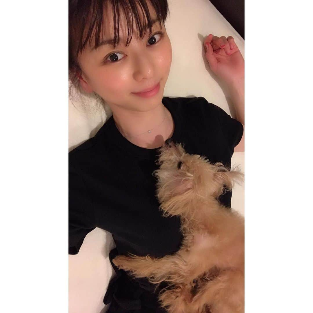 えれなさんのインスタグラム写真 - (えれなInstagram)「我が家のアイドル🐩✨ 今日8/27で、もみじが16歳になりました🥰🎂✨ 年々、老化も進み。 大変な事や心配な事もありますが、もみじが一生懸命歩いたり、ご飯を食べたり、腕の中で寝てる姿は愛しくてたまりません😌❤️ 先日、たまたまお会いした方に。  生き仏様みたいだね〜。と声をかけていただきました😂  確かに😆❣️たまに生き仏様みたいな表情をしていますwww（10枚目の写真は特に！） これからも、もみじタイムでゆっくりでいいから元気でいてね💋✨ #toypoodle #momiji #birthdaygirl #16yearsold #love #family #もみじ #16歳 #可愛すぎるお婆ちゃん #はなびのお母さん #れもんみんとのお婆ちゃん #老犬介護 #生き仏様 #もみじをみると自然と笑顔になれるよ #愛しくてたまらない #もみじ大好き #お誕生日おめでとう #えれな」8月27日 0時03分 - elena1982312