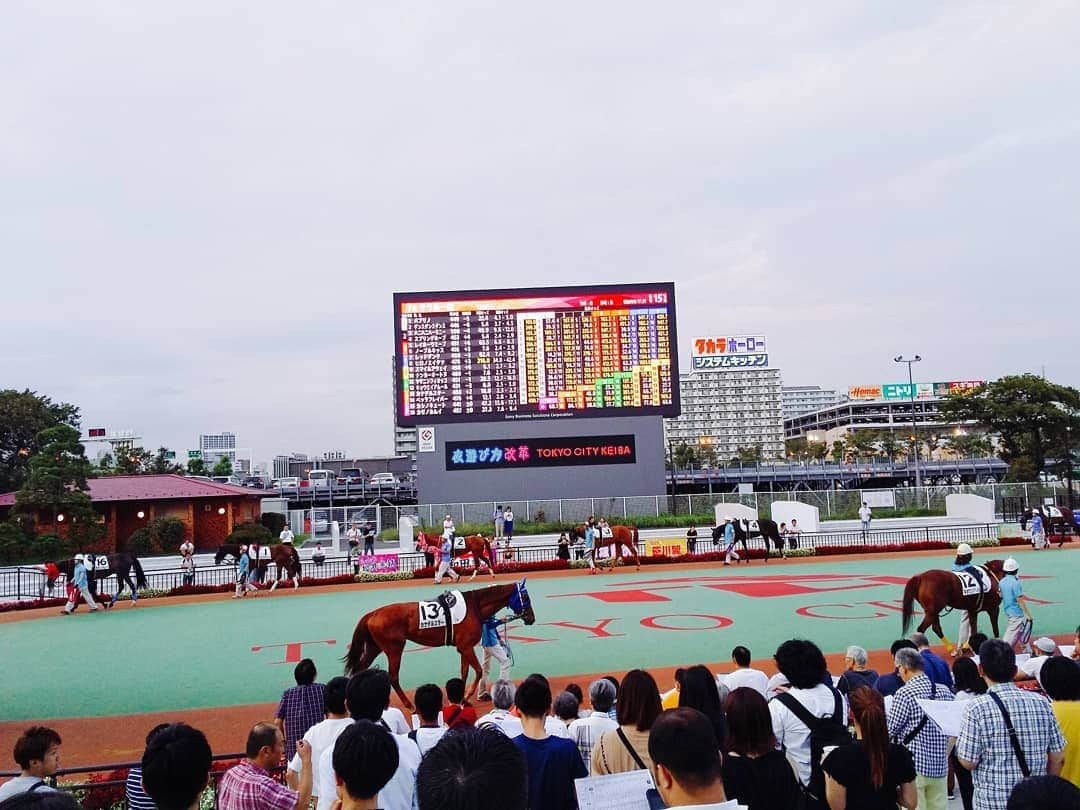 佐々木実季さんのインスタグラム写真 - (佐々木実季Instagram)「久しぶりのTCK🐴✨もうお馬さんに会いたい欲がすごくてすごくて😁しかし、、馬券はボロボロでした😭（笑）お馬さんキラキラ綺麗でとっても楽しかったです♥️加奈は初競馬🏇勝ってたみたい😁㊗️ #TCK #東京シティ競馬 #トゥインクルレース #大井競馬場 #競馬 #🐴 #🏇 #お馬さん #お馬さん大好き #馬女 #競馬女子 #馬券はボロボロ #いつも馬単とワイド #一旦初心に返る #ダイヤモンドターン #競馬好きな人と繋がりたい #馬好きな人と繋がりたい #もう私の人生馬しかない #意味不明w #乗馬行こうね #ナイター競馬 #トゥインクル #lovehorses #horselove #ooiracecourse #keiba #umajo #tokyocitykeiba #horseracing #horserace」8月27日 0時18分 - miki.sasaki_golf