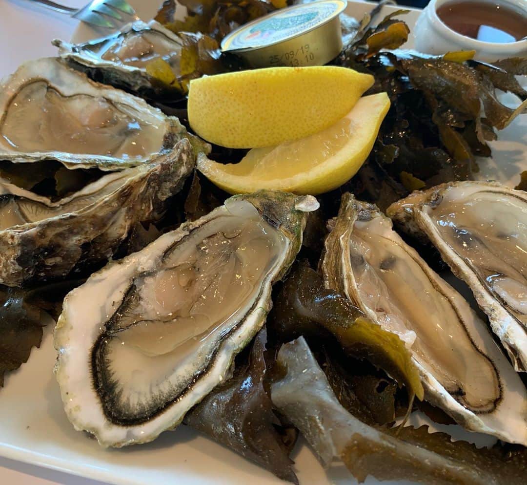辻仁成さんのインスタグラム写真 - (辻仁成Instagram)「真夏の牡蠣も美味いです。ちょっと小粒だけど、ノルマンディーあるある。」8月27日 0時46分 - tsujihitonari