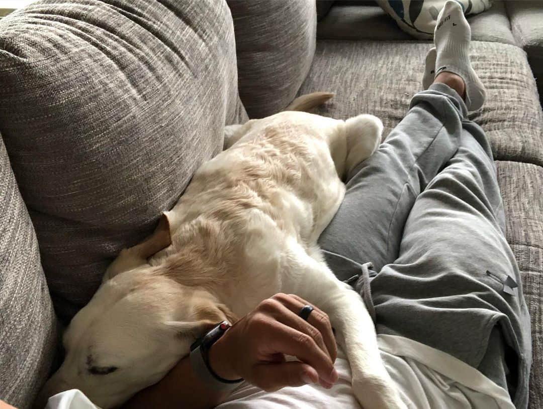 ジェイコブ・ダルトンさんのインスタグラム写真 - (ジェイコブ・ダルトンInstagram)「Because it’s #NationalDogDay 🙌🏼 🐕」8月27日 0時54分 - jake_dalton