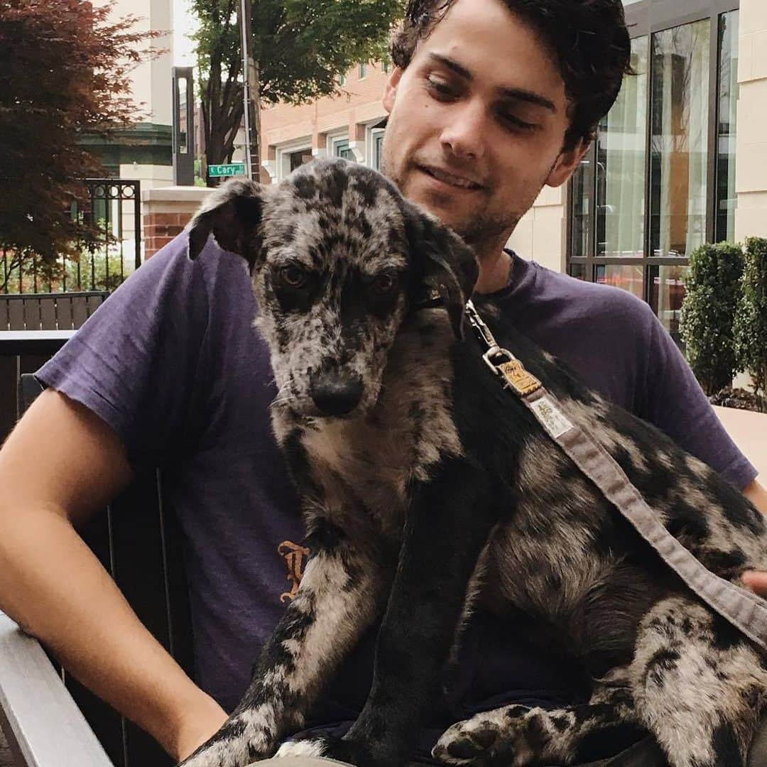 ジャック・ファライーさんのインスタグラム写真 - (ジャック・ファライーInstagram)「Happy International Dog Day to this guy. I love you ya big dumby」8月27日 1時07分 - jackfalahee