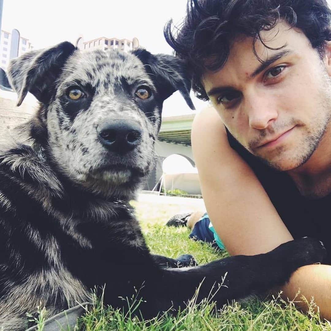 ジャック・ファライーさんのインスタグラム写真 - (ジャック・ファライーInstagram)「Happy International Dog Day to this guy. I love you ya big dumby」8月27日 1時07分 - jackfalahee