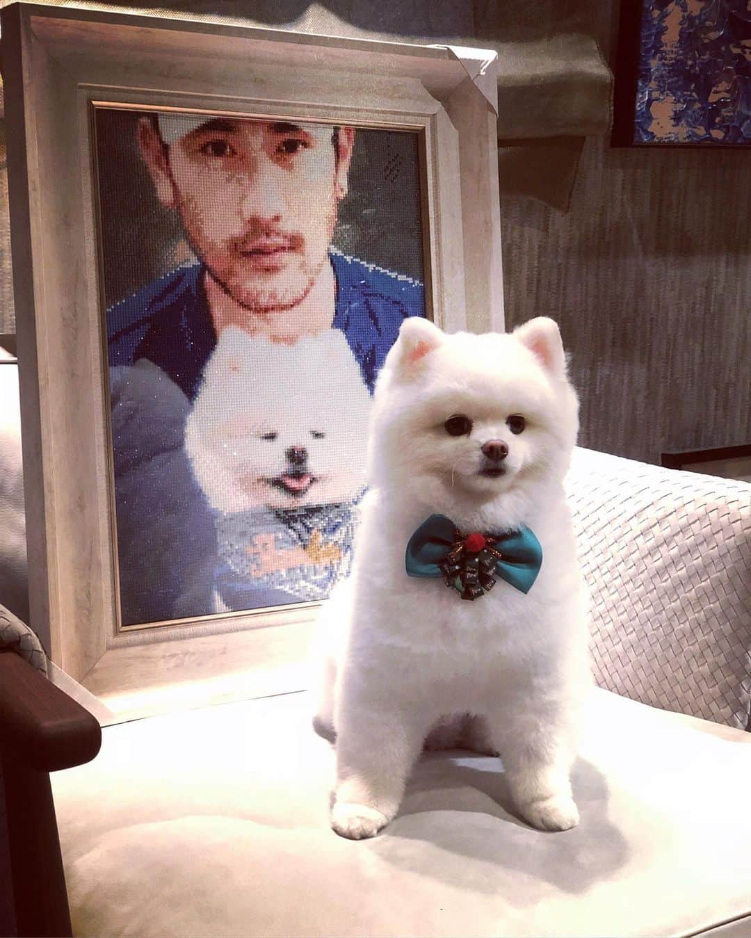 ゴッドフリー・ガオさんのインスタグラム写真 - (ゴッドフリー・ガオInstagram)「In the spirit of #InternationalDogDay here is my tuff dawg @badboytheodore 🤣 🐾 #nationaldogday」8月27日 1時09分 - godfreygao