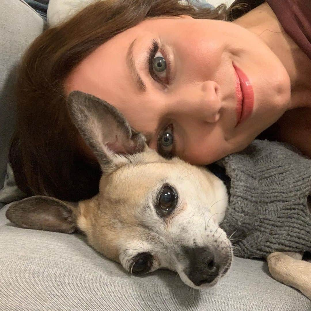 ベラミー・ヤングさんのインスタグラム写真 - (ベラミー・ヤングInstagram)「My heart is broken: Bean lost her very valiant fight against heart failure this weekend.  She loved every minute of her last chapter here in #NYC- loved her work family, loved everything there was to sniff on the streets, loved elevator rides, her first street fair, even her little potty patch on the terrace.  Her spirit was so radiant, but her little body just gave out. She fought so hard- but it just gave out. I miss her every minute.  Bean made everyone who met her feel calm & safe & loved. From strangers on the street to animals I was fostering to anyone she conned into covering her up with her favorite blanket. She spread love constantly. Please hold her in your heart & go be extra kind to each other today. She was such a dear, sweet light in this world, continuing to spread that love seems the only legacy good enough for her.  I'll miss her forever.  #MyBean on her last #InternationalDogDay ❤️💔❤️💔❤️💔❤️」8月27日 2時10分 - bellamyyoung