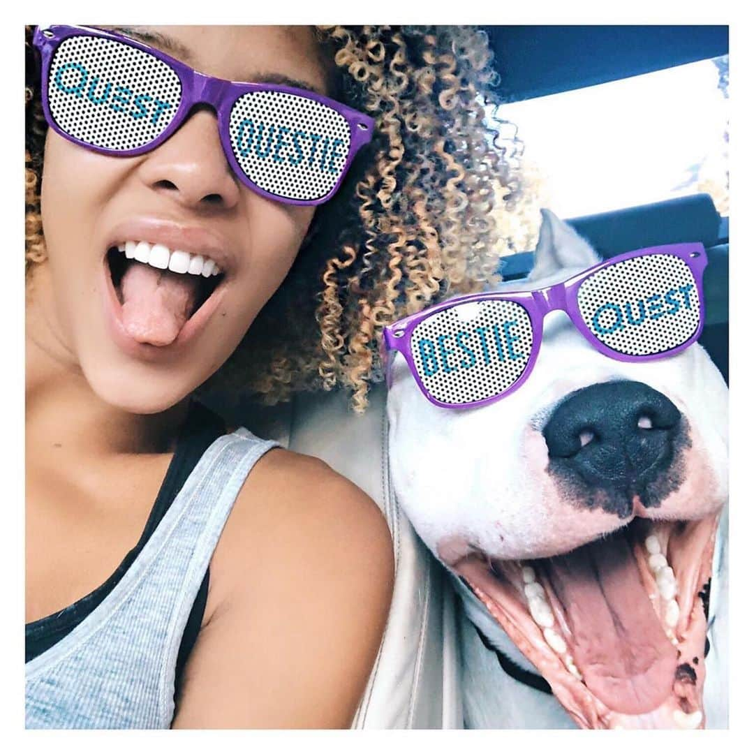 questnutritionさんのインスタグラム写真 - (questnutritionInstagram)「Happy #NationalDogDay! 🐶 Swipe & meet some of the #QuestSquad puppies. 😊」8月27日 2時19分 - questnutrition