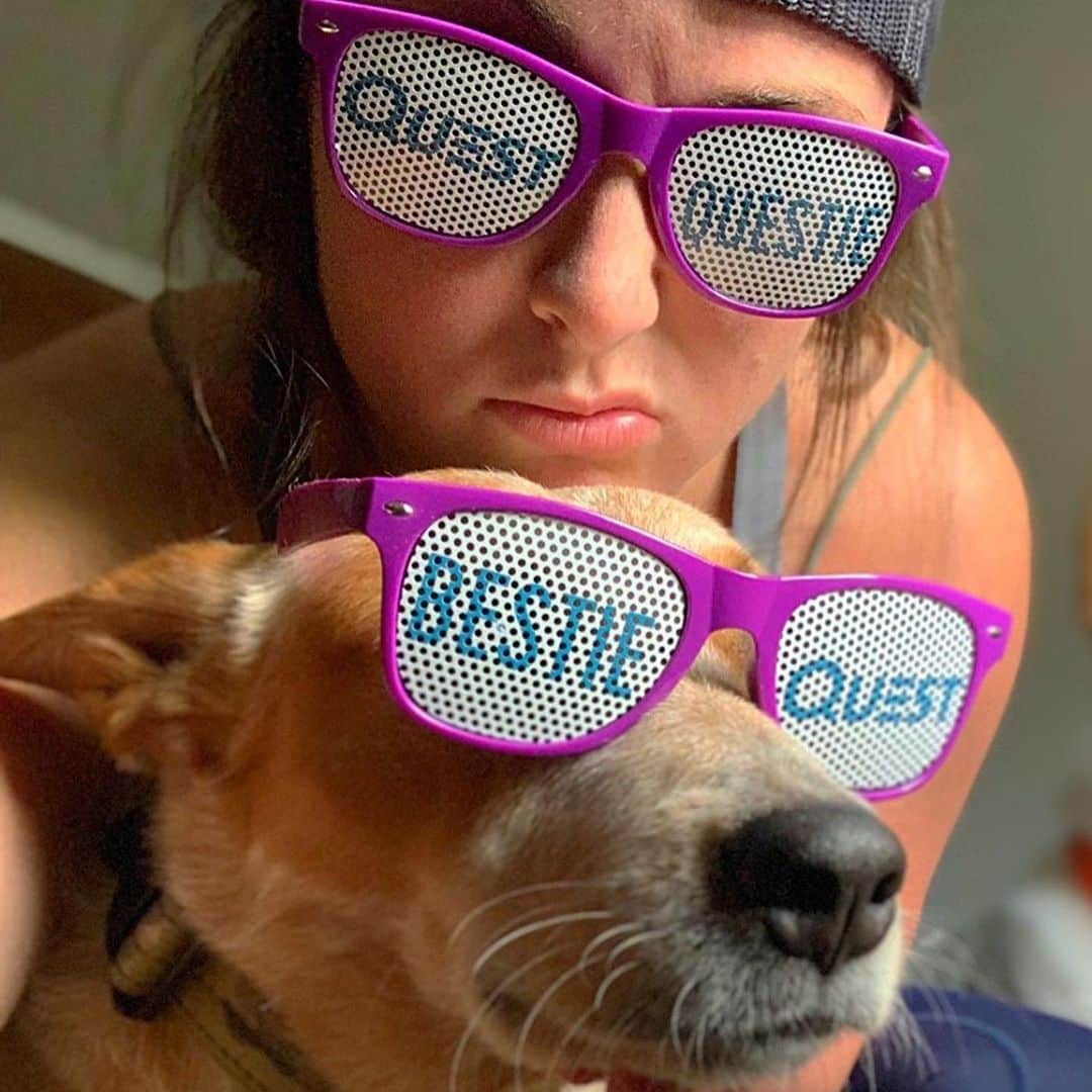 questnutritionさんのインスタグラム写真 - (questnutritionInstagram)「Happy #NationalDogDay! 🐶 Swipe & meet some of the #QuestSquad puppies. 😊」8月27日 2時19分 - questnutrition
