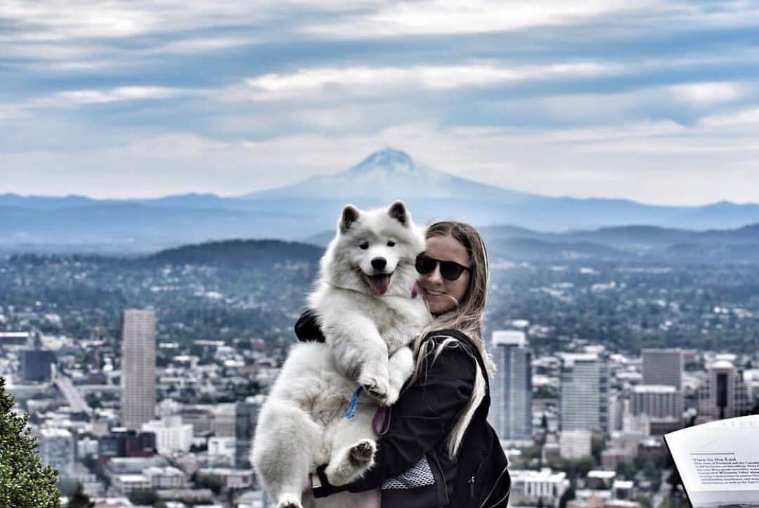 Portlandさんのインスタグラム写真 - (PortlandInstagram)「Happy #NationalDogDay! In case you were wondering, Portland is Pup Approved! Tag your photos #portlandnwdogs to be featured! - 📷:@aljatavcar -  #Portland #Pdx #Portlandnw」8月27日 2時56分 - portland
