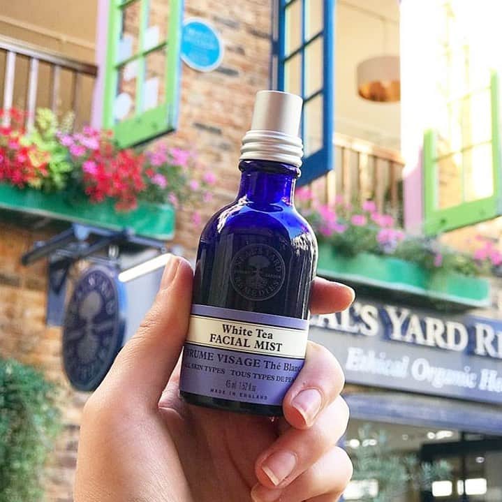 Neal's Yard Remediesさんのインスタグラム写真 - (Neal's Yard RemediesInstagram)「Keeping cool this long weekend courtesy of White Tea Facial Mist 💦 (Don’t forget if you need to stock up on your favourites, we’re offering free shipping on all orders placed by 9am Tuesday 27th August!)」8月27日 3時00分 - nealsyardremedies