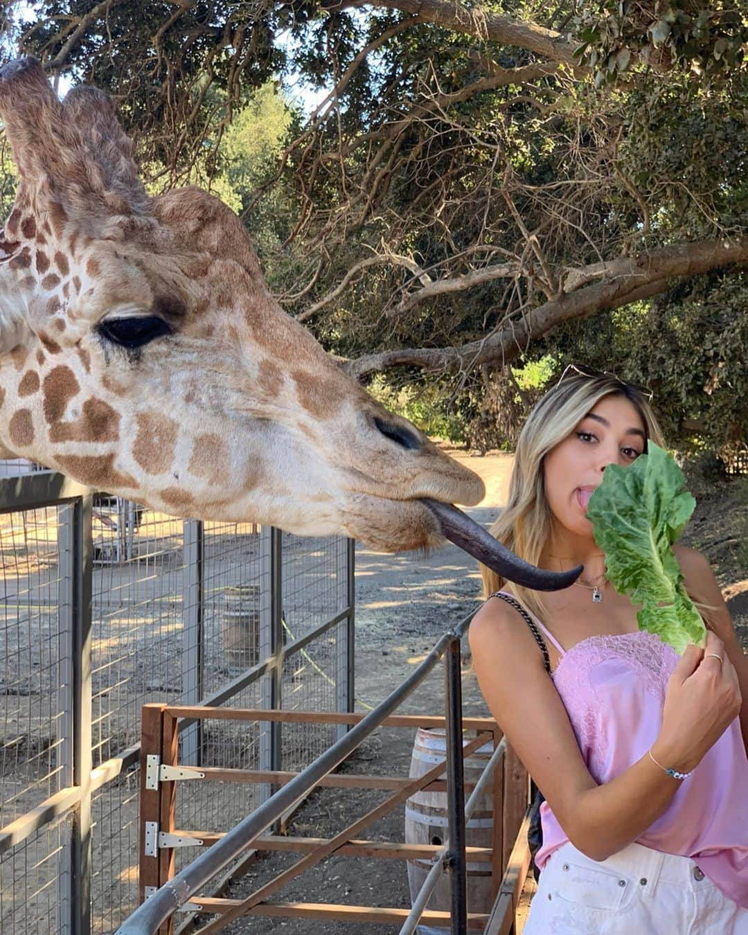 システィーン・スタローンさんのインスタグラム写真 - (システィーン・スタローンInstagram)「My friends were hungry, I was thirsty 🍷」8月27日 3時06分 - sistinestallone