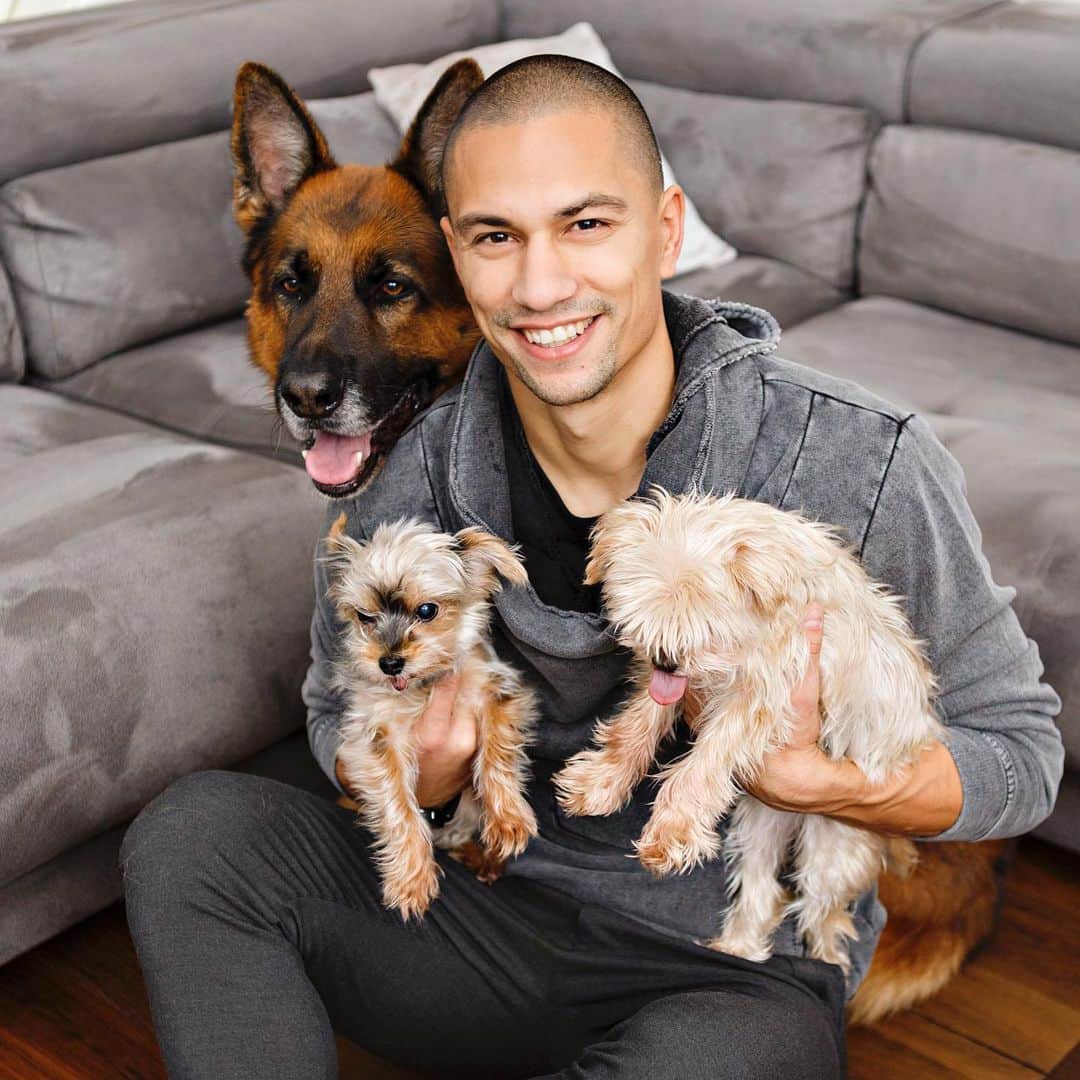 のインスタグラム：「Happy #InternationalDogDay ! My babies ❤️🐺🐶🐶」