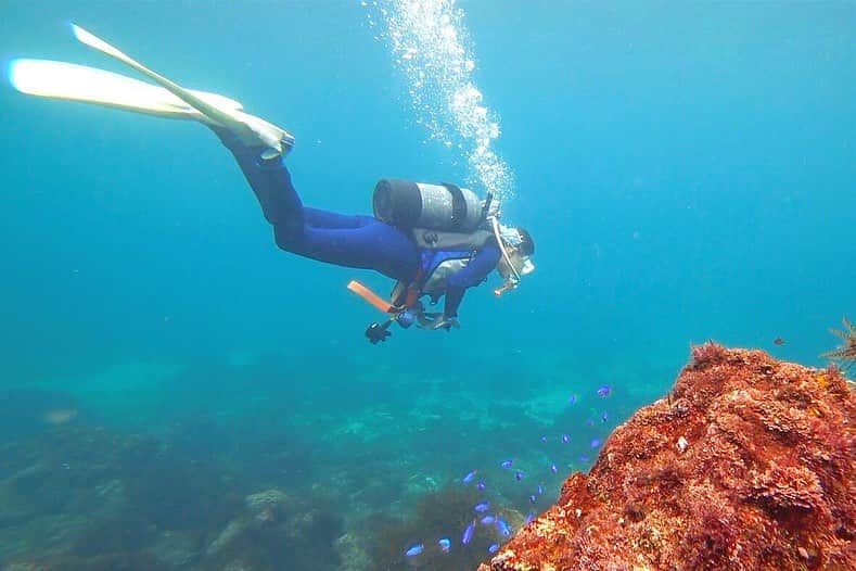 佐々木あさひさんのインスタグラム写真 - (佐々木あさひInstagram)「久々のダイビング🐠伊豆の海は何年ぶりだろう🤔 週末に行ったからか渋谷のセンター街並みにダイバーがいたけど、お魚ちゃん達の方が断然多くて安心した😂 潜った後は漁船に温泉を引いている温泉丸にも入れて海を眺めながらの露天風呂最高だった♨️（焼けたけど）」8月27日 13時08分 - asahisasaki
