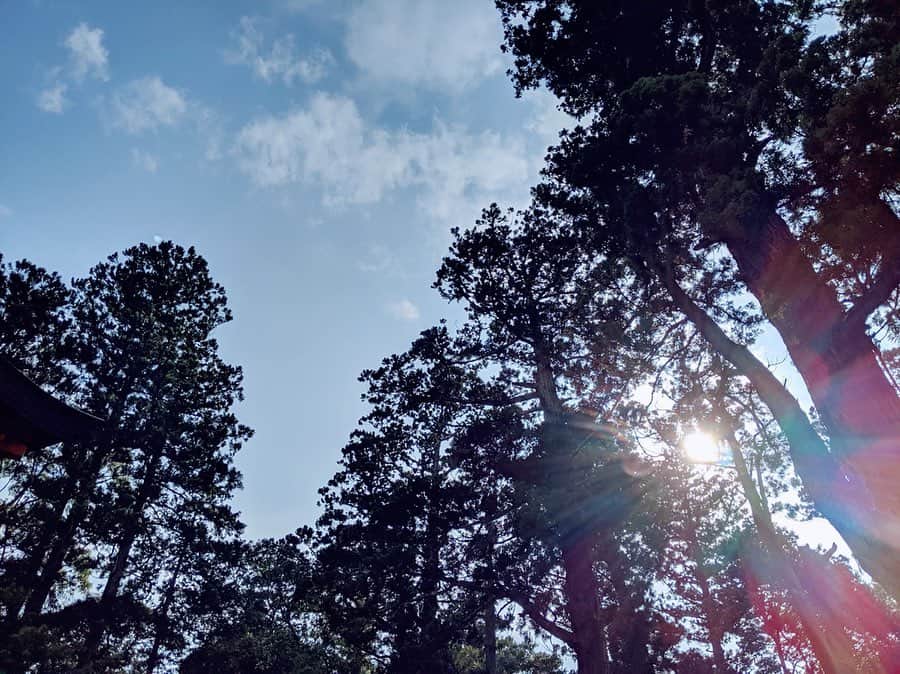 松山愛里さんのインスタグラム写真 - (松山愛里Instagram)「香取神宮⛩ 全国約400社ある香取神社の総本社。 鳥居をくぐるとスーっと空気が変わって 境内までの道のりがとっても気持ちが良かった🍃 心地良い空気と緑に囲まれながら 聴こえてくるのはひぐらしの鳴き声。。癒し🌿🌿🌿 #香取神宮#アイリーンの神社仏閣巡り」8月27日 14時06分 - airi__matsuyama