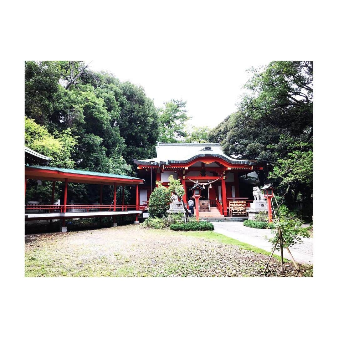 吉村民さんのインスタグラム写真 - (吉村民Instagram)「大好きな 神社のひとつ⛩  自由が丘 熊野神社。  ひっそり佇ずむ雰囲気と 大きな木が ステキです。  もうすぐ秋のお祭りだ。  #神社 #自由が丘 #東急東横線 #temple #meguro #japan #japantrip #japantrain  #japanesehistory  #歴史 #歴女 #歴史好き #神社仏閣 #目黒区 #歴史巡り #幕末好き #目黒さんぽ #民の歴史散歩」8月27日 14時26分 - xxtamixx.y