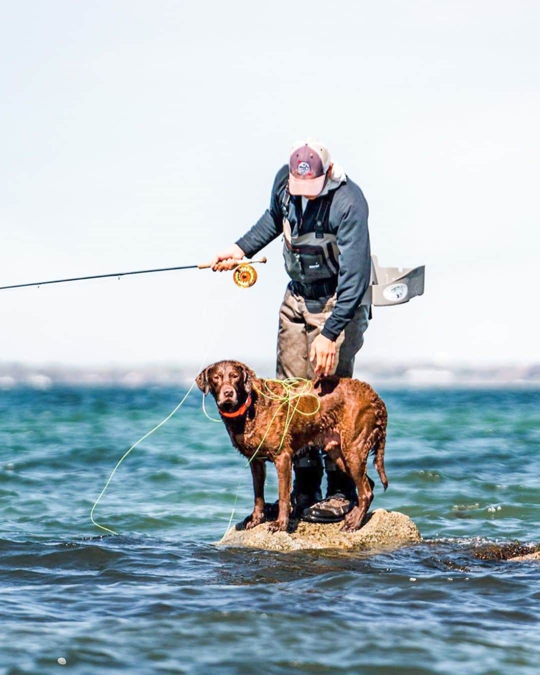 Costa Sunglassesのインスタグラム：「Man's best line manager. Celebrating loyal, adventure-seeking #CostaPups who #SeeWhatsOutThere with us on #NationalDogDay and every day. 📷: @flylords」