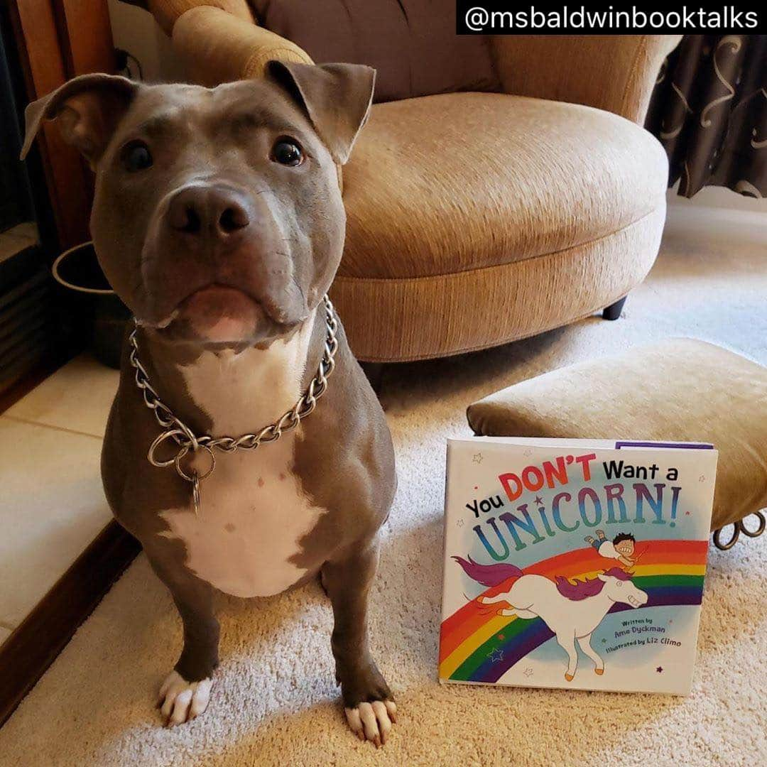 リズ・クライモさんのインスタグラム写真 - (リズ・クライモInstagram)「Since you reviewed this book I illustrated, it’s only fair that I review this dog. 10/10, a VERY good girl 💖💯 You Don’t Want a Unicorn is written by Ame Dyckman and illustrated by Liz Climo. This comical picture book is about everyone’s favorite fictional animal- a (🦄). A boy makes a wish in a fountain and naturally wishes for his own unicorn. At first, everything is great but soon he finds the darker side of unicorns. They scratch, burp (rainbows), shed (glitter), and they can’t be housetrained (don’t eat unicorn poop even if it looks like cupcakes!). If all that wasn’t bad enough, he soon finds the top-secret problem with having a unicorn and he realizes that having one might not be all it’s cracked up to be. This book is masterfully written by Ame Dyckman. Liz Climo’s illustrations add a brightness and playfulness that will have kids coming back again and again. #yorkshirees #bookreview #youdon’twantaunicorn #trustme #amedyckman #lizclimo #picturebook #🦄🦄🦄 #🧁🧁🧁 #unicornpartiesarethemostdestructiveforceintheuniverse #unicornstrashthehouse #hehastowishthemaway #butwhatdoeshewishfornext #miathepitbull #sheisabeautifulunicorn #sheshedstoo #butitsnotglitter #shepromisesnottothrowanyparties #unlessyouwantadogparty #thenshesready」8月27日 7時40分 - lizclimo