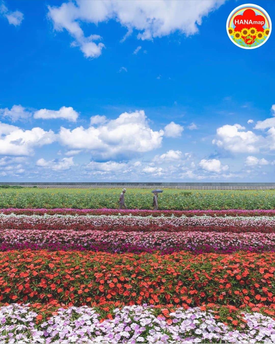 はなまっぷ❁日本の花風景のグルメインスタ