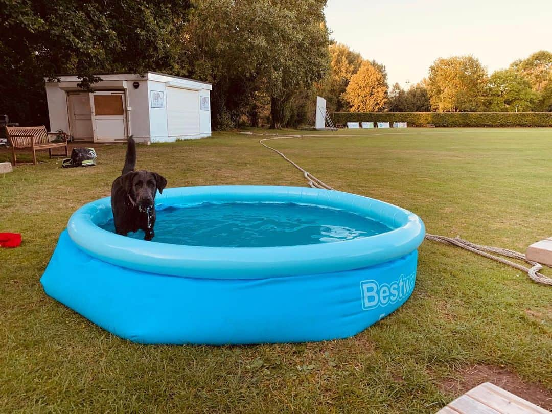 トム・フェルトンさんのインスタグラム写真 - (トム・フェルトンInstagram)「‘I won’t jump in the kids paddling pool, I promise’」8月27日 8時09分 - t22felton