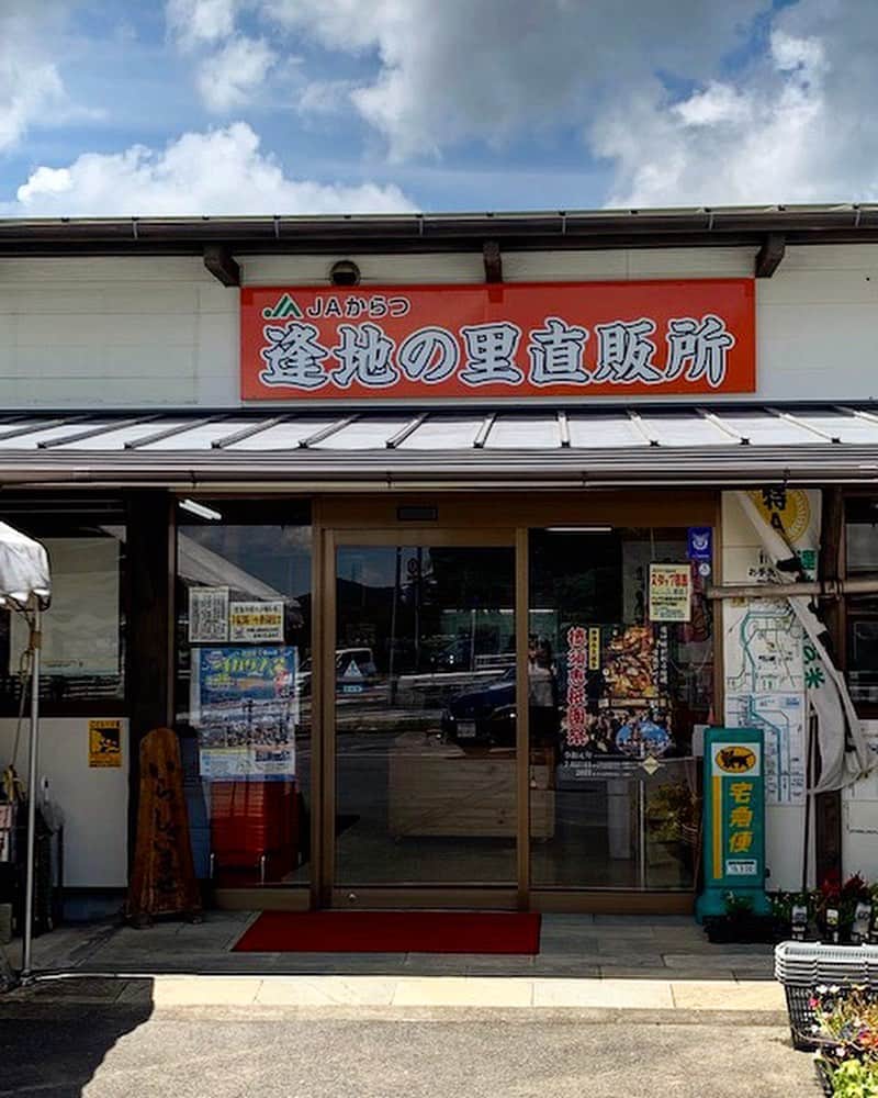 さが農村さんのインスタグラム写真 - (さが農村Instagram)「. 逢地（おうち）の里直売所に行ってきました！ その呼び名のとおり、佐賀県唐津市相知（おうち）町にある直売所です。 . この直売所で購入したのは、唐津市の麻生園芸さんが販売されている、「青しそ健康そうめん」。 . 1束に青しそ10枚分が入っているそうです。 そうめんもきれいな緑色！ . この暑い夏にぴったりのそうめんが、 そうめんに合う薬味の青じそ風味だなんて、期待が高まります！ . まだまだ暑さが続く夏。 皆さんも暑い夏をさっぱりしたもので乗り切りましょう。 . . ＜逢地の里直売所＞ 住所：佐賀県唐津市相知町相知3182-5 TEL：0955-51-8131 . . ■さが農村ひろばホームページ（TOPページ） https://saga-nouson.jp/ . . #さが農村#佐賀産#佐賀#サガ#saga#唐津市#逢地の里直売所#青しそ健康そうめん」8月27日 8時29分 - saganouson